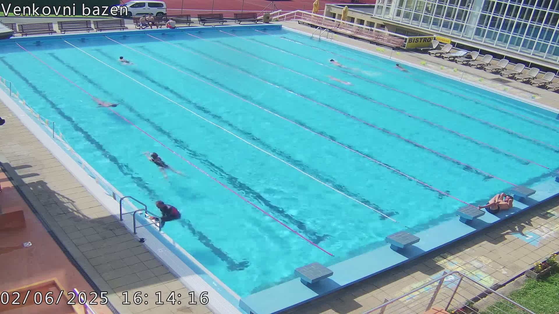 A sunny day at an outdoor swimming pool shows several people swimming laps in a brightly lit blue pool.