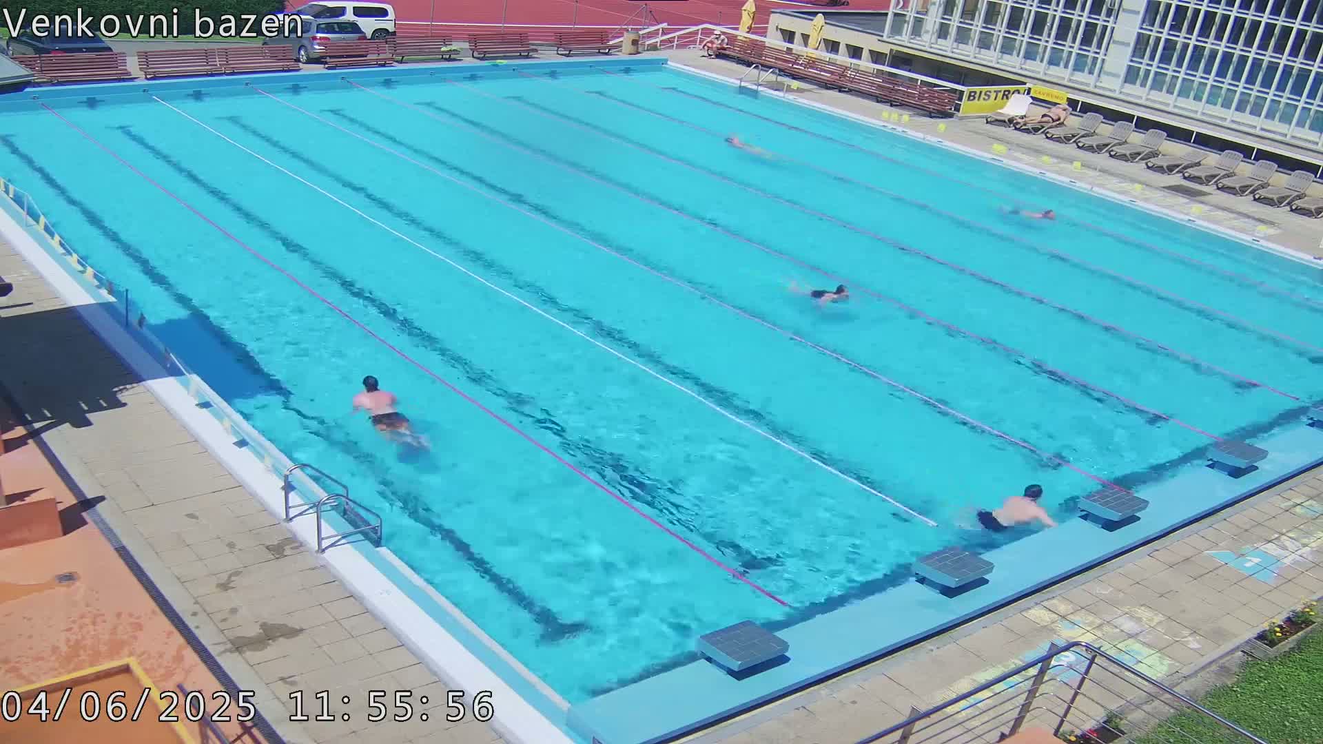 Several people swim laps in a bright blue outdoor swimming pool on a sunny day.