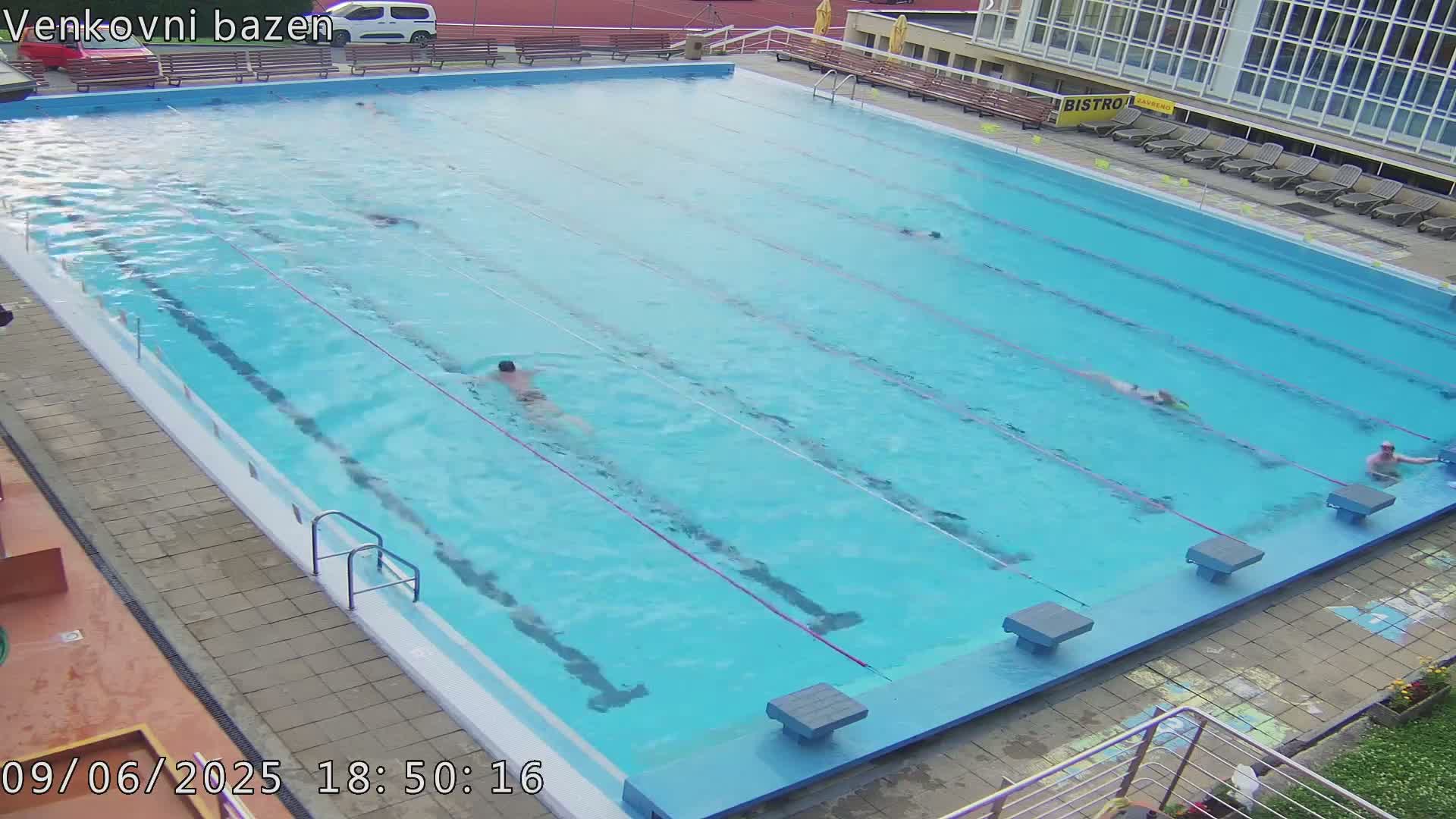Several people swim laps in a large outdoor pool on a sunny day.