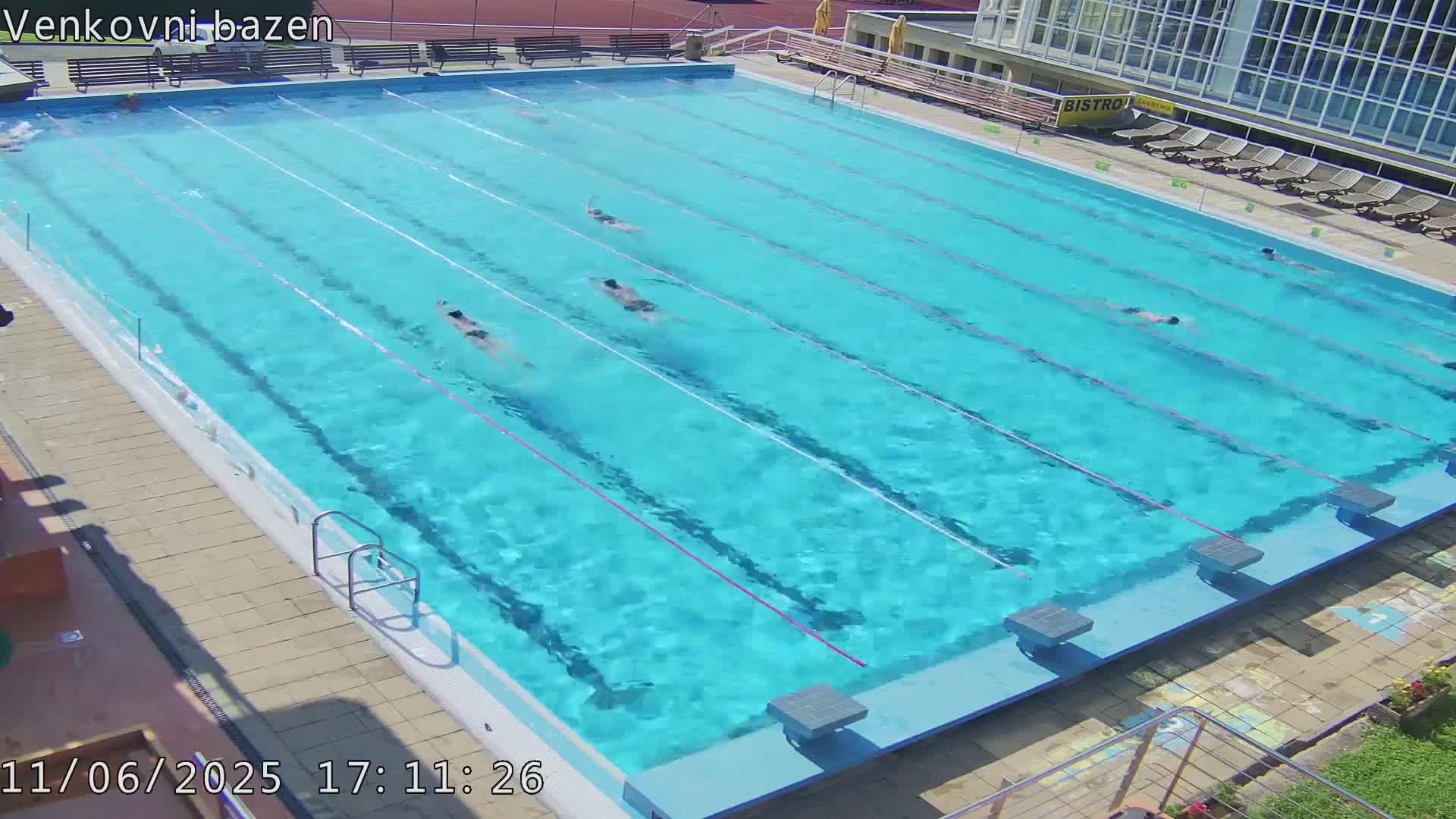 Several people swim laps in a brightly lit outdoor swimming pool on a sunny day.