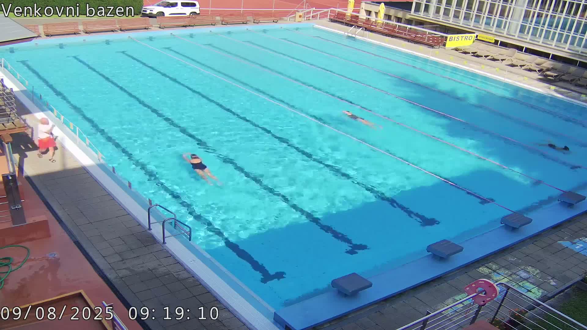 An outdoor swimming pool with several people swimming laps in a sunny day.