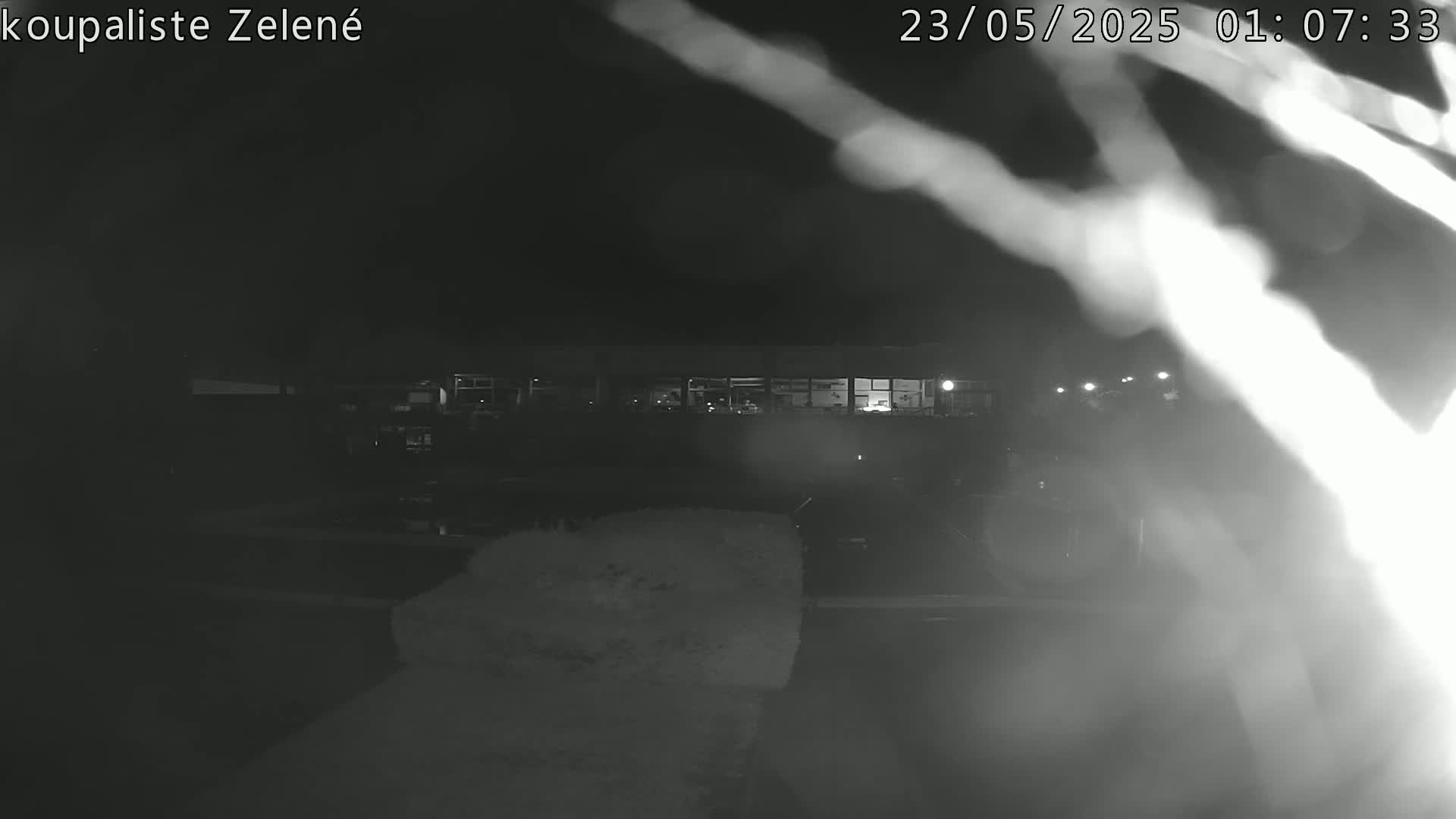 A nighttime, blurry, low-light image shows a building with illuminated windows in the background, partially obscured by branches in the foreground.