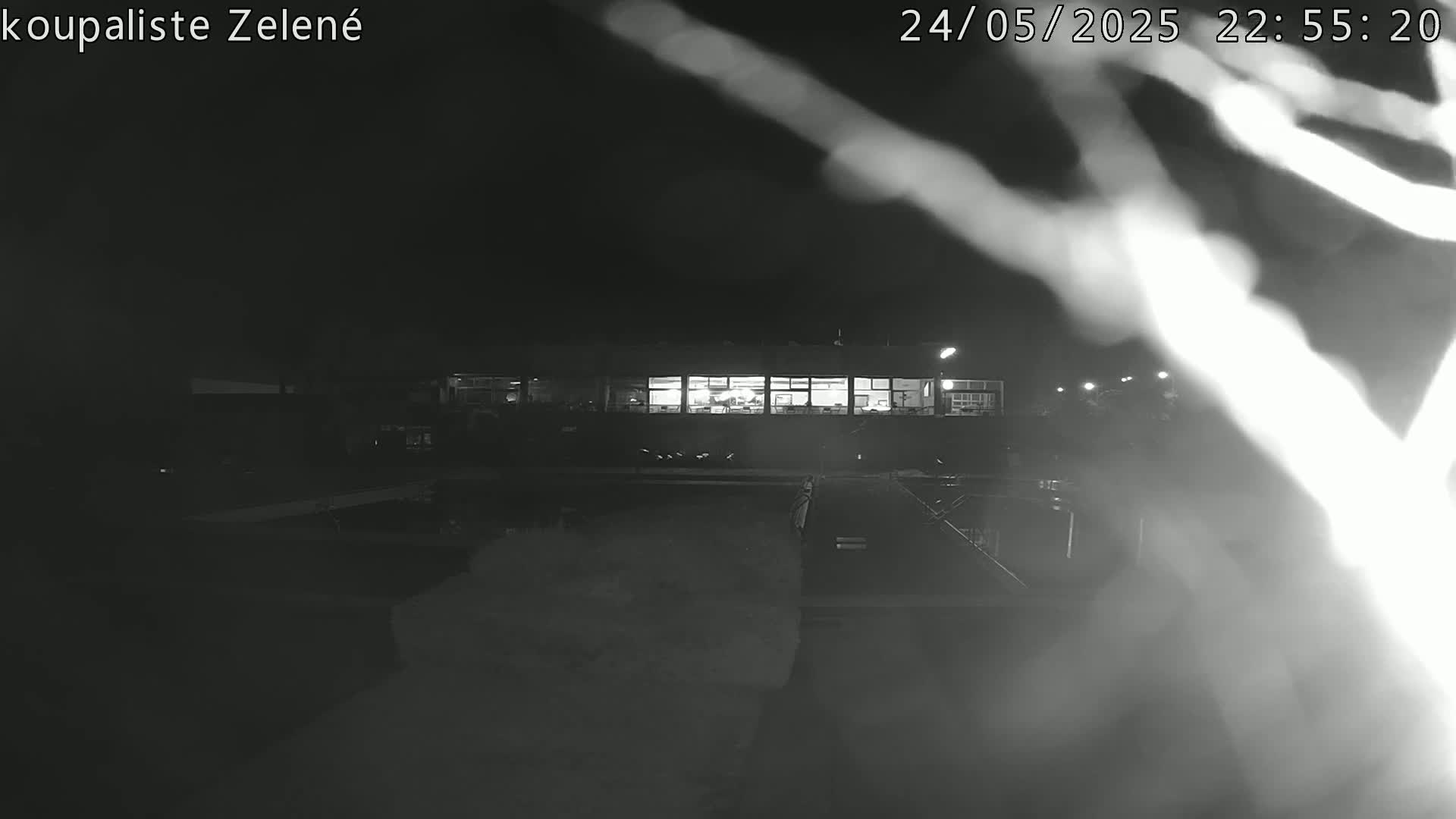 A nighttime, blurry black-and-white image shows a brightly lit building across a dark, possibly wet, expanse from the camera's perspective, partially obscured by branches in the foreground.