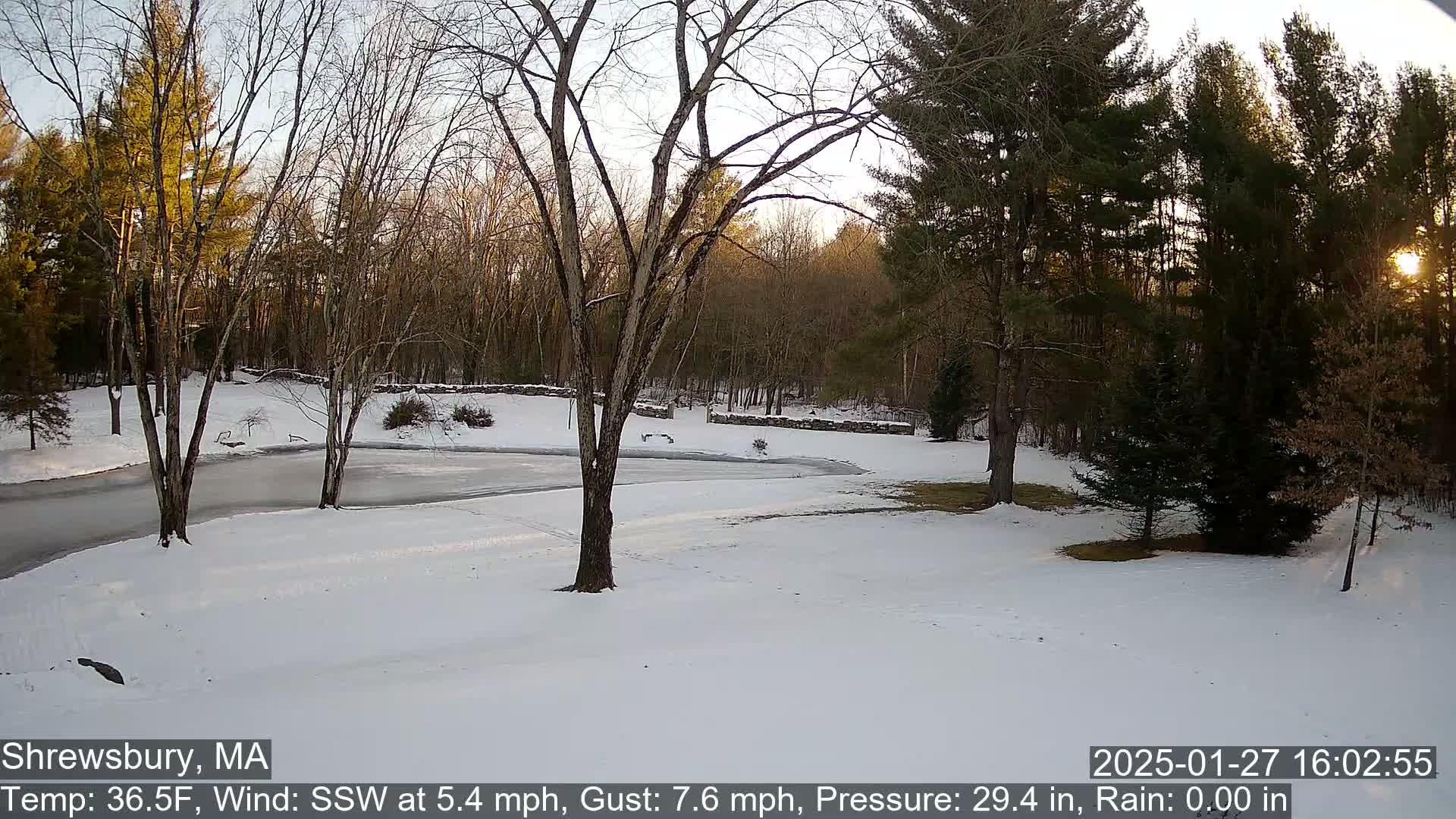 A snow-covered landscape at sunset, featuring bare deciduous trees and evergreens, with a partially iced-over driveway.