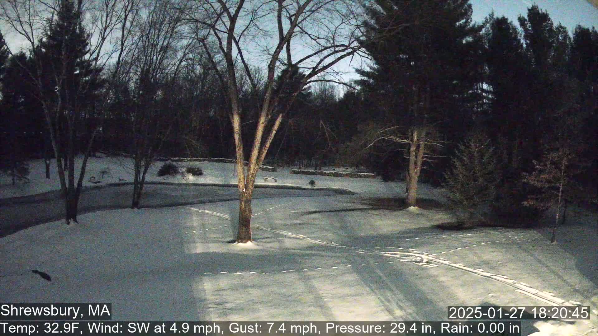 A snow-covered yard with footprints and bare trees under a twilight sky.