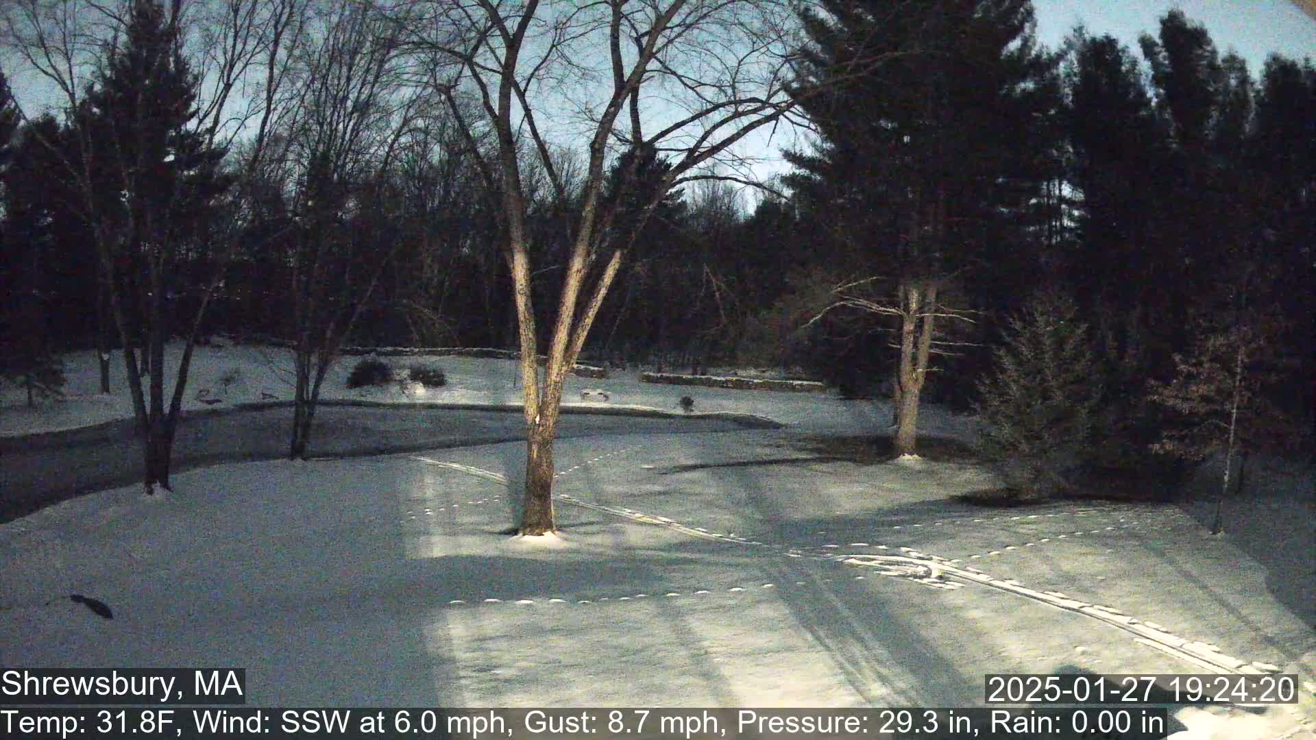 A snow-covered yard with bare trees and footprints in the twilight.