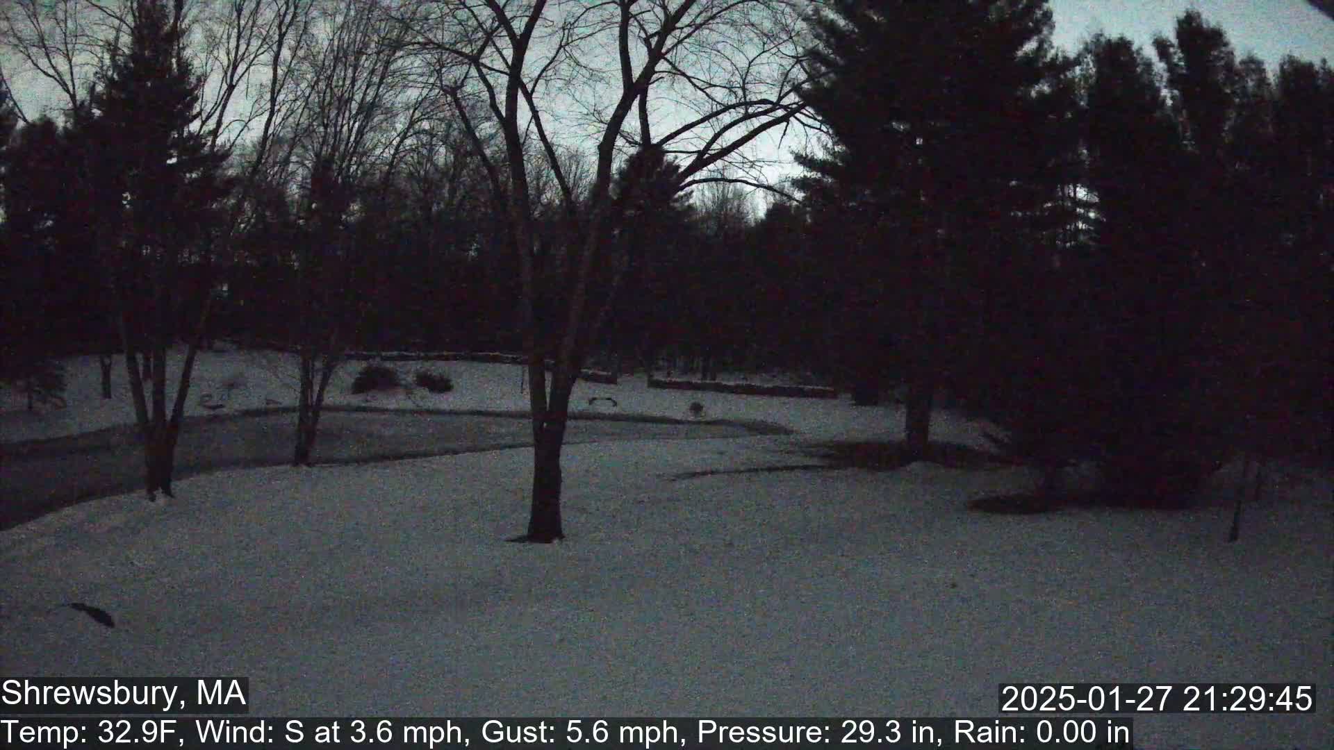 A snow-covered yard is surrounded by dark, leafless trees under a twilight sky.