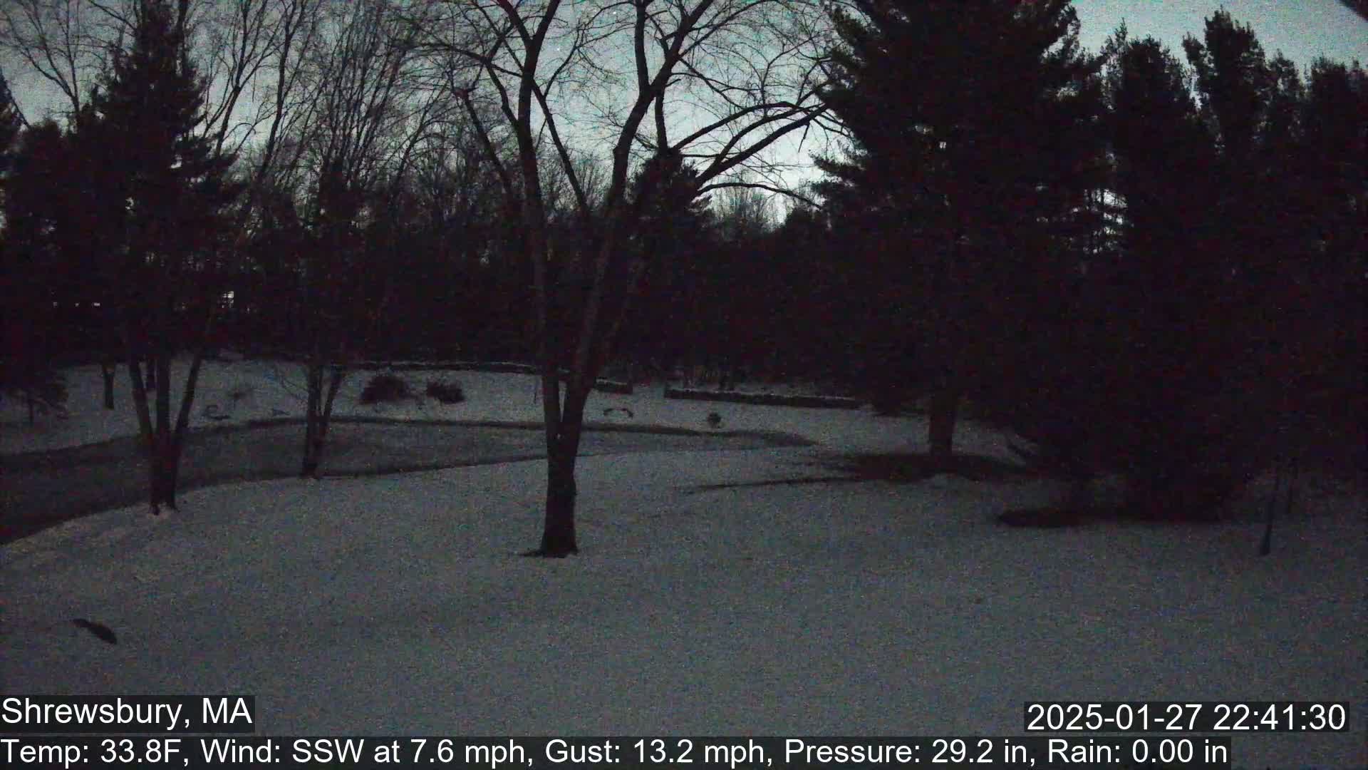 A snow-covered yard surrounded by dark trees under a twilight sky.