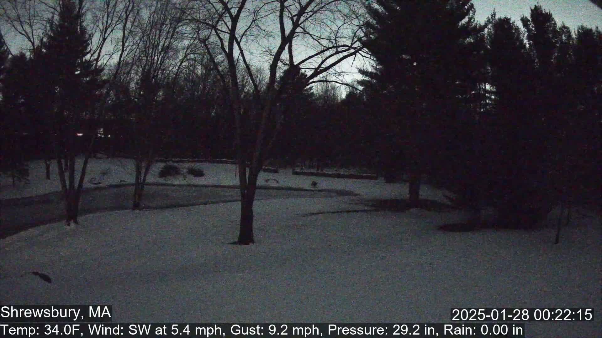 A snow-covered yard at twilight, surrounded by dark trees under a dusky sky, with a gentle southwest wind.