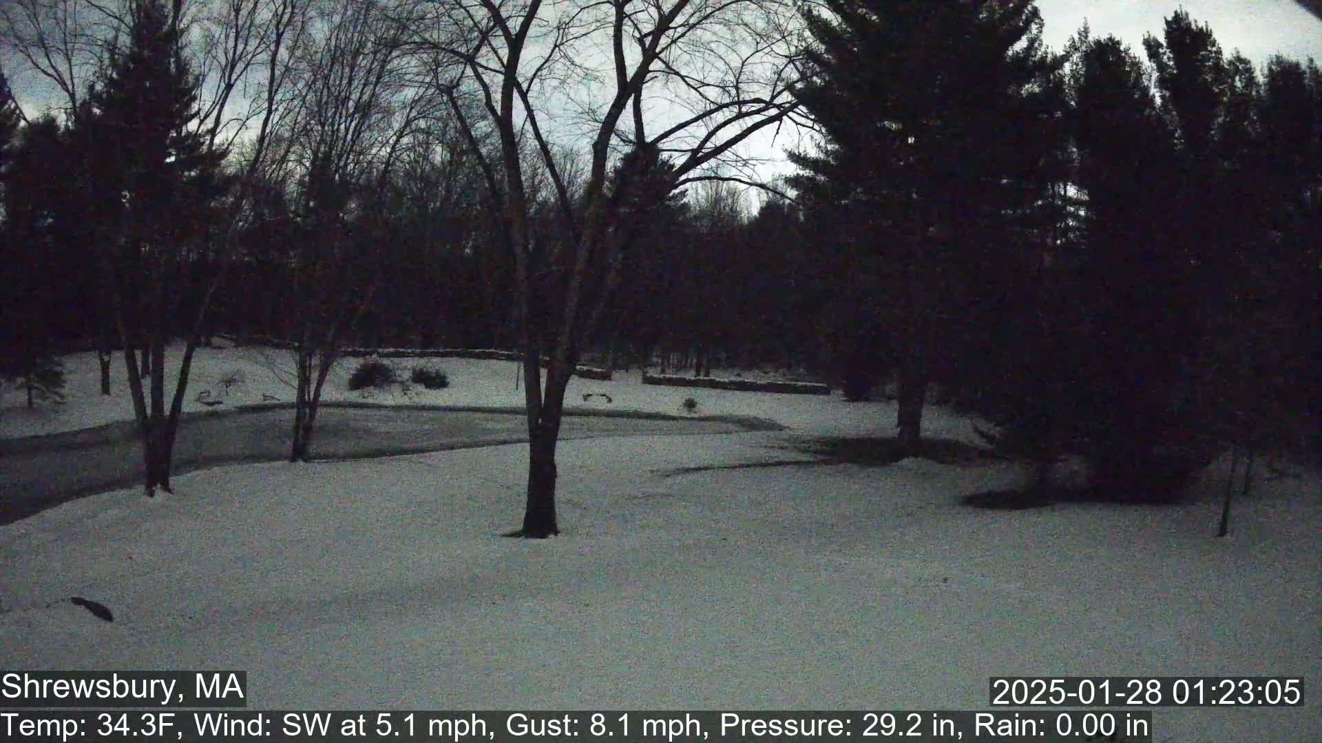 A snow-covered yard and road are surrounded by dark, leafless trees under a twilight sky.