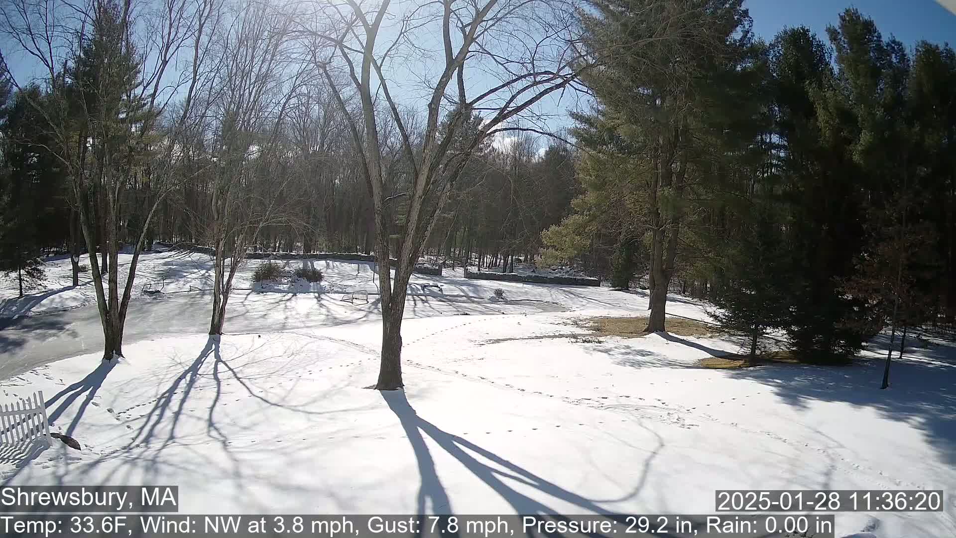 A snow-covered yard with leafless trees and a background of woods is seen on a sunny day with a northwest wind.