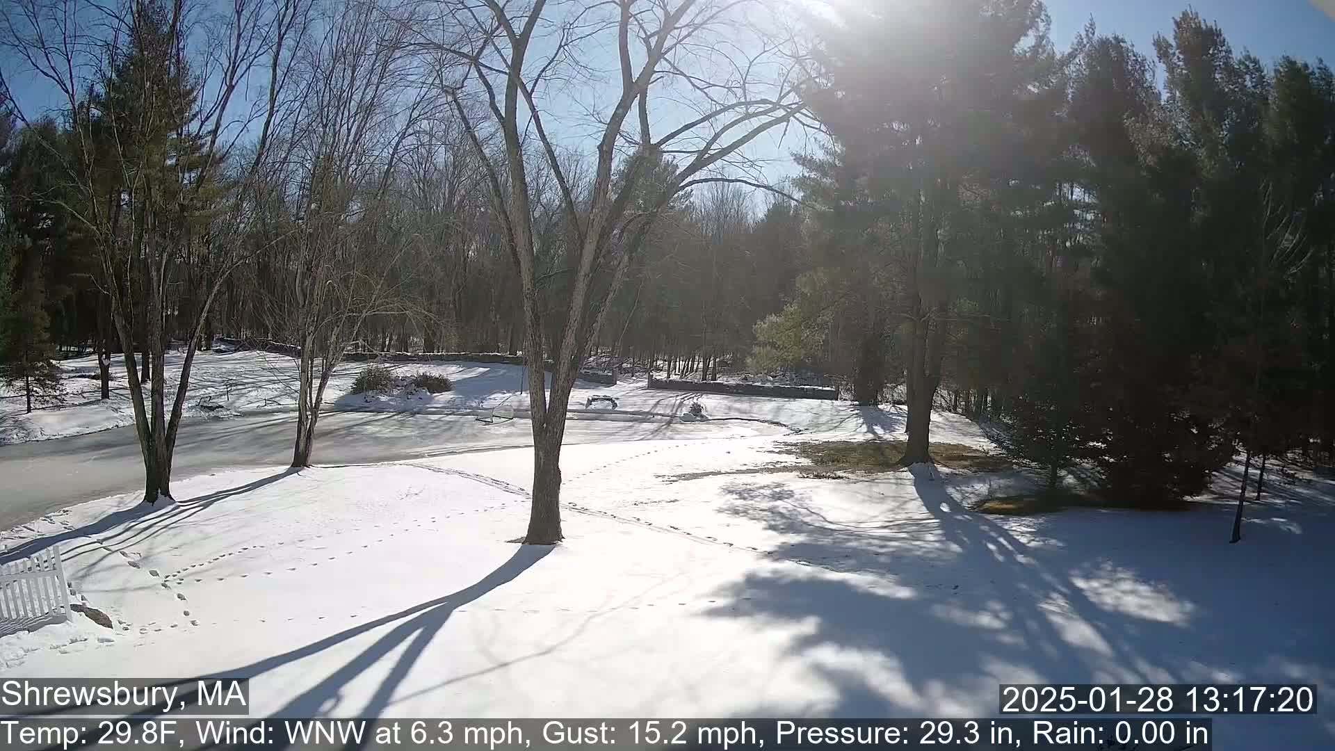 A snow-covered yard with bare trees and a sunny sky is visible.