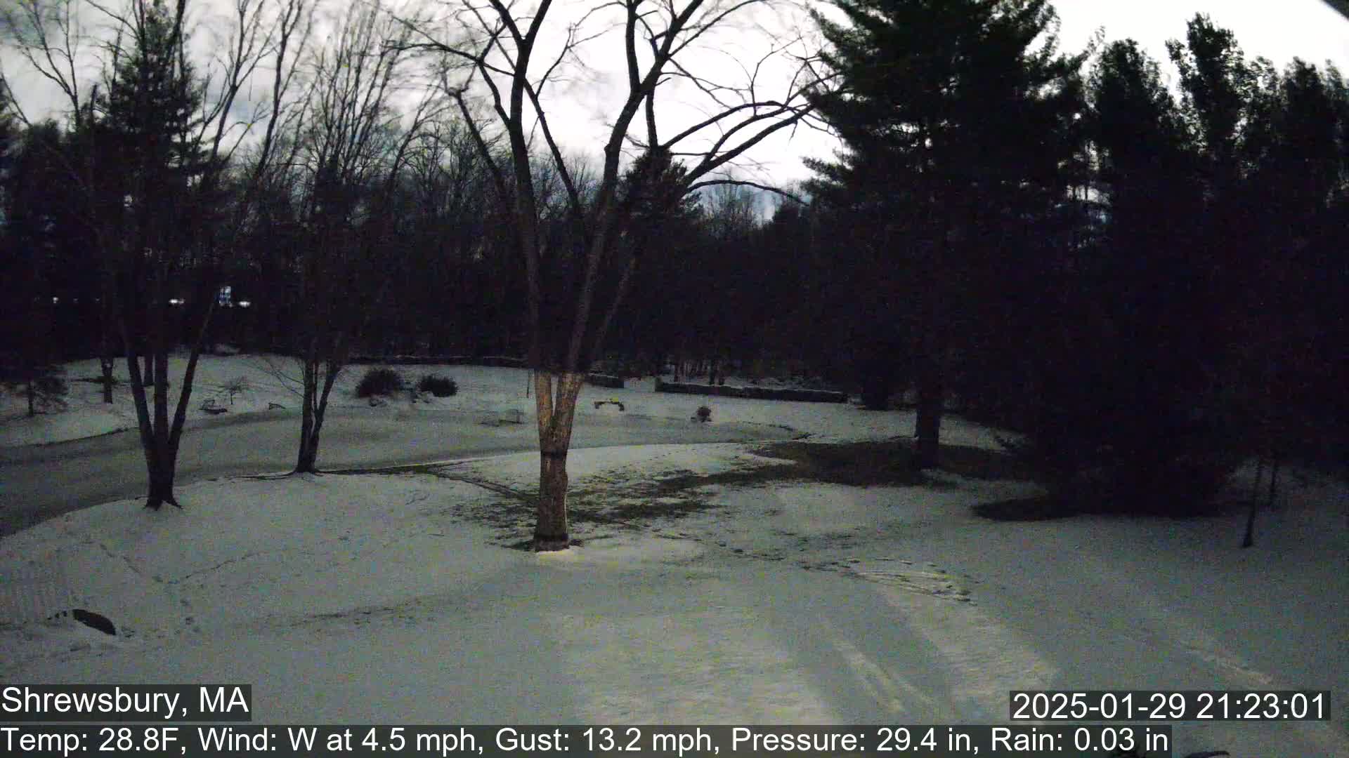 A snow-covered yard with bare trees under a dark, overcast sky in windy conditions with light rain.