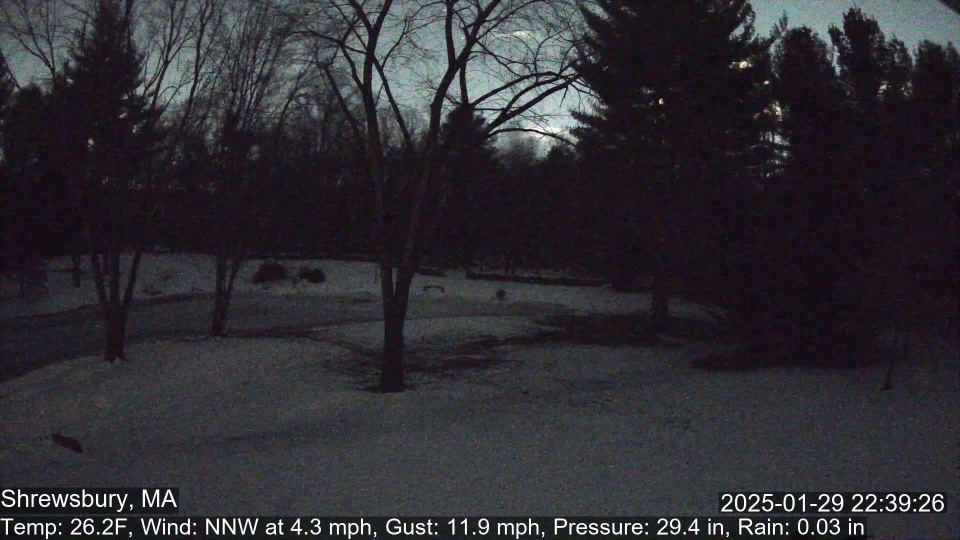 Scenic Pond and Trees Live Cam - Shrewsbury, Massachusetts , USA