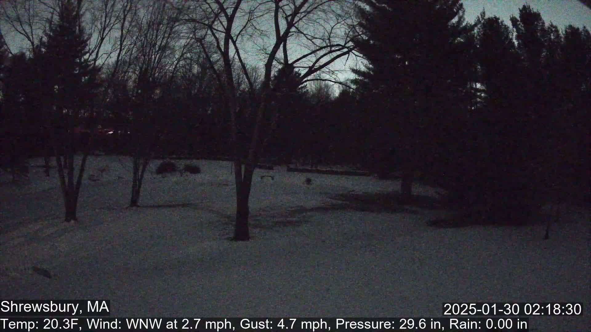 Scenic Pond and Trees Live Cam - Shrewsbury, Massachusetts , USA