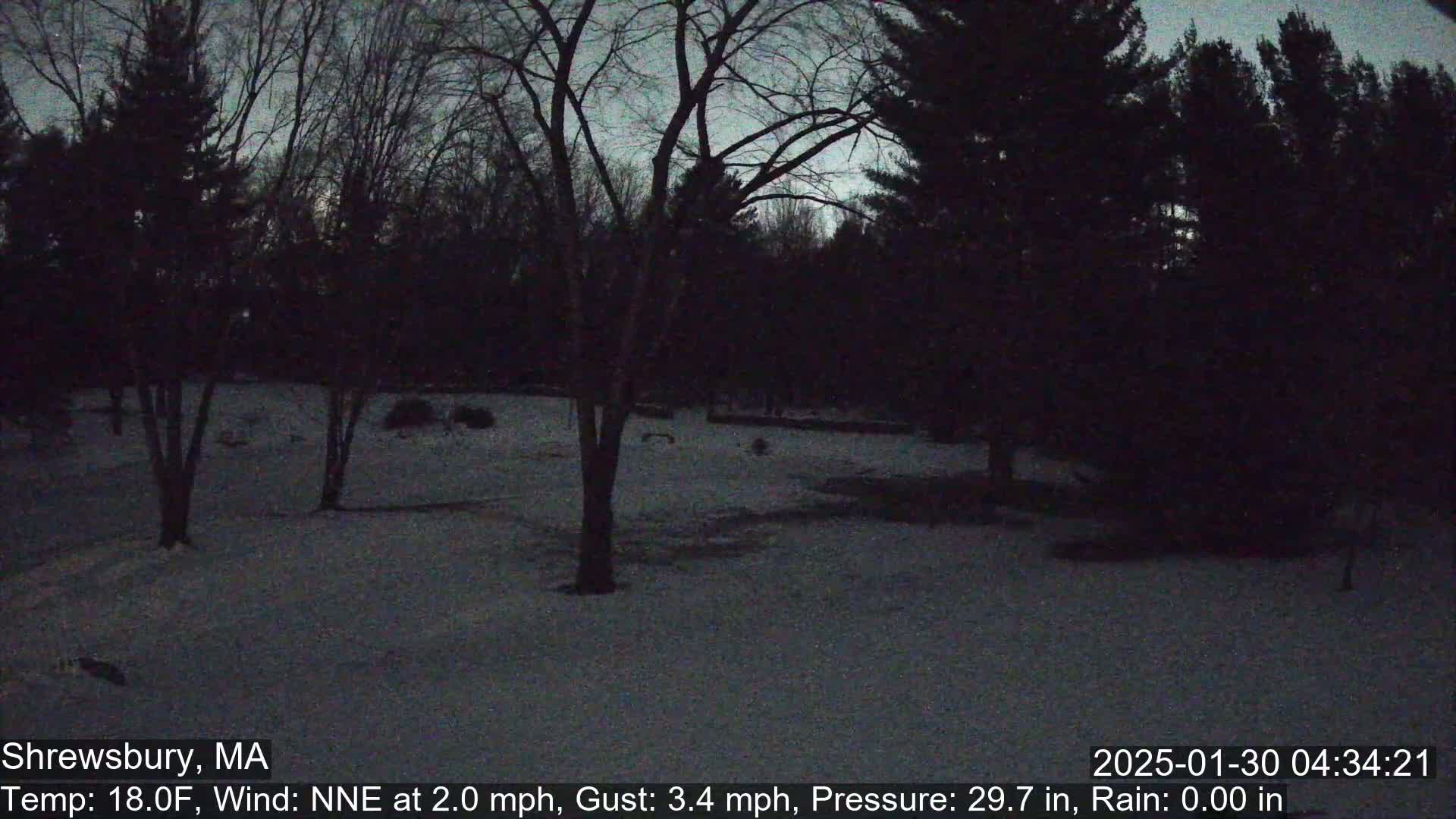 A snow-covered yard is surrounded by dark trees under a twilight sky.