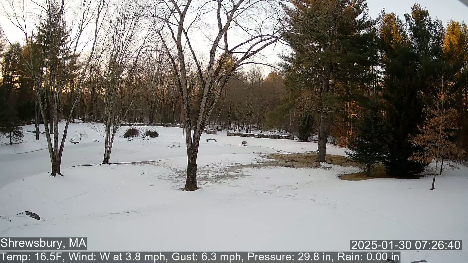 A snow-covered yard with bare trees and a wooded background is illuminated by the soft light of sunrise.