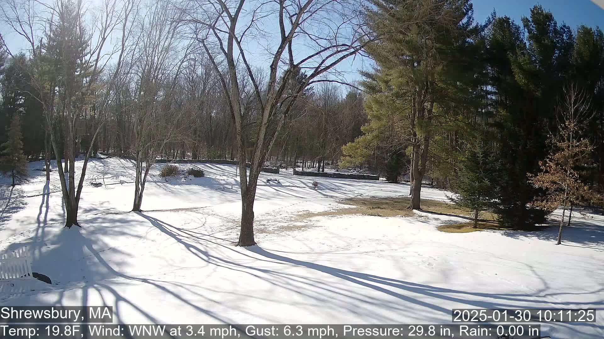 A snow-covered yard with leafless trees and a wooded background under a sunny sky.