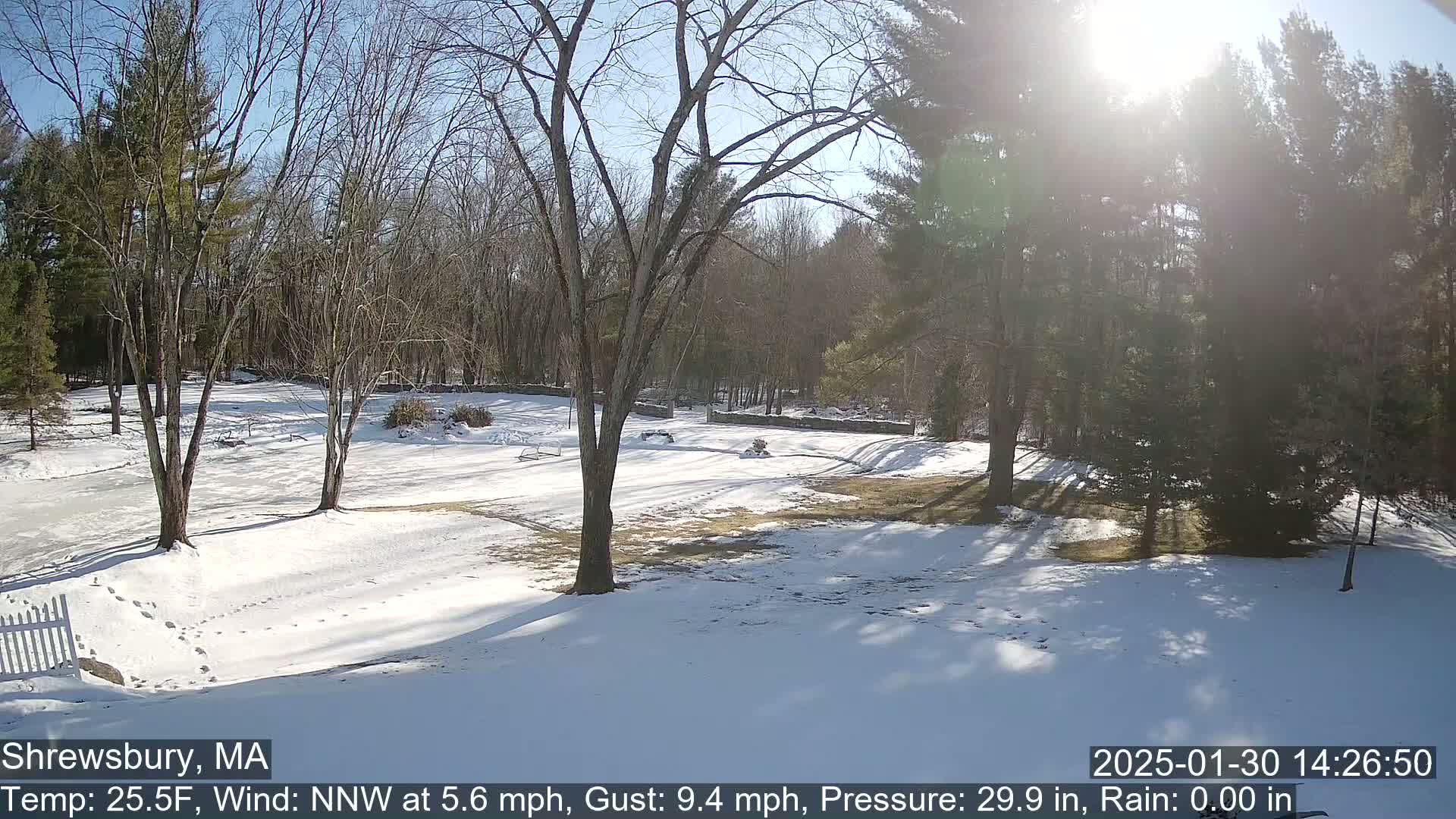 A snow-covered yard with bare trees and a sunny sky is seen from a high vantage point.