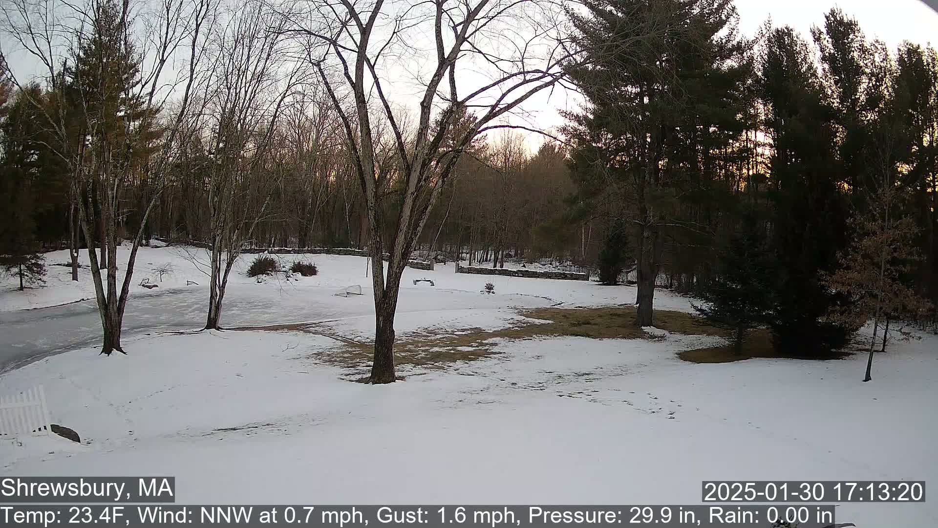 A snow-covered yard with leafless trees and a wooded background is seen at twilight.