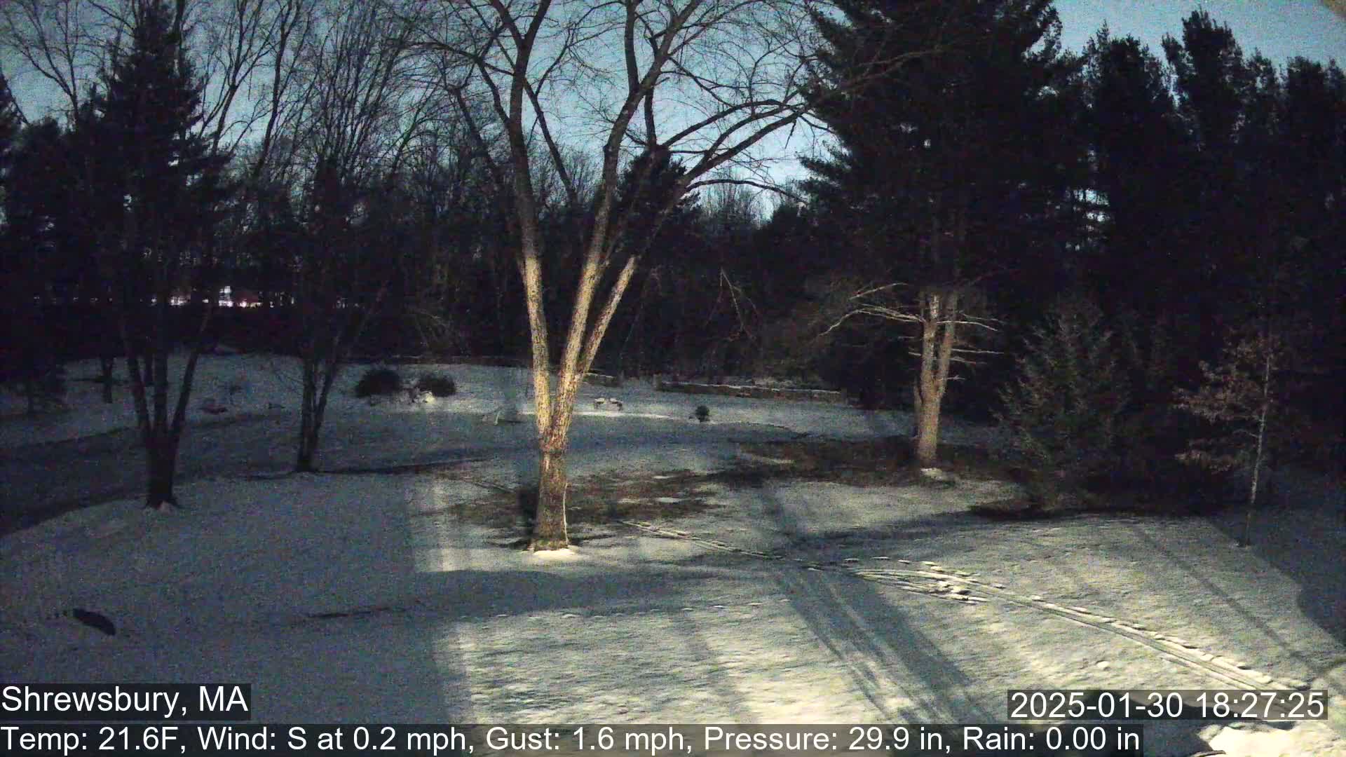 A snow-covered yard surrounded by dark trees at night.