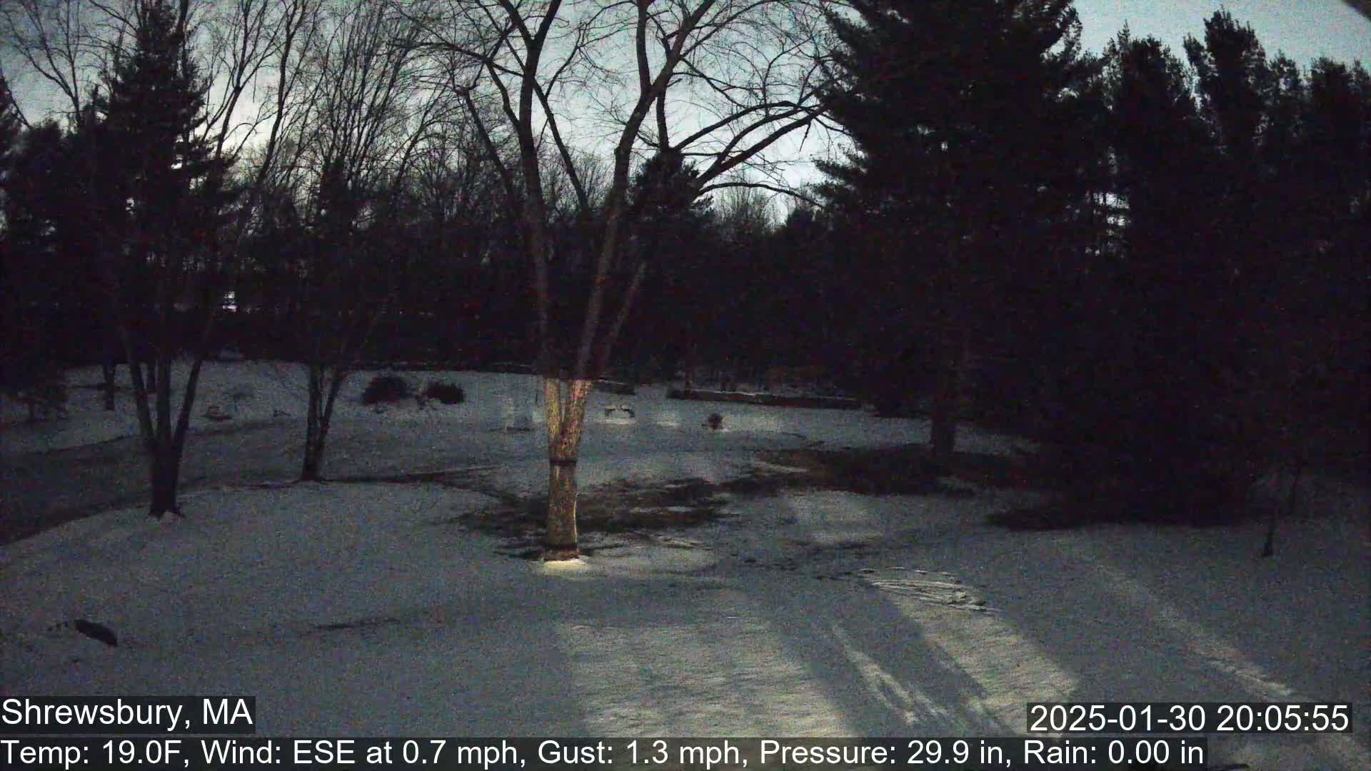 A snow-covered yard at twilight is surrounded by dark, leafless trees under a dusky sky.