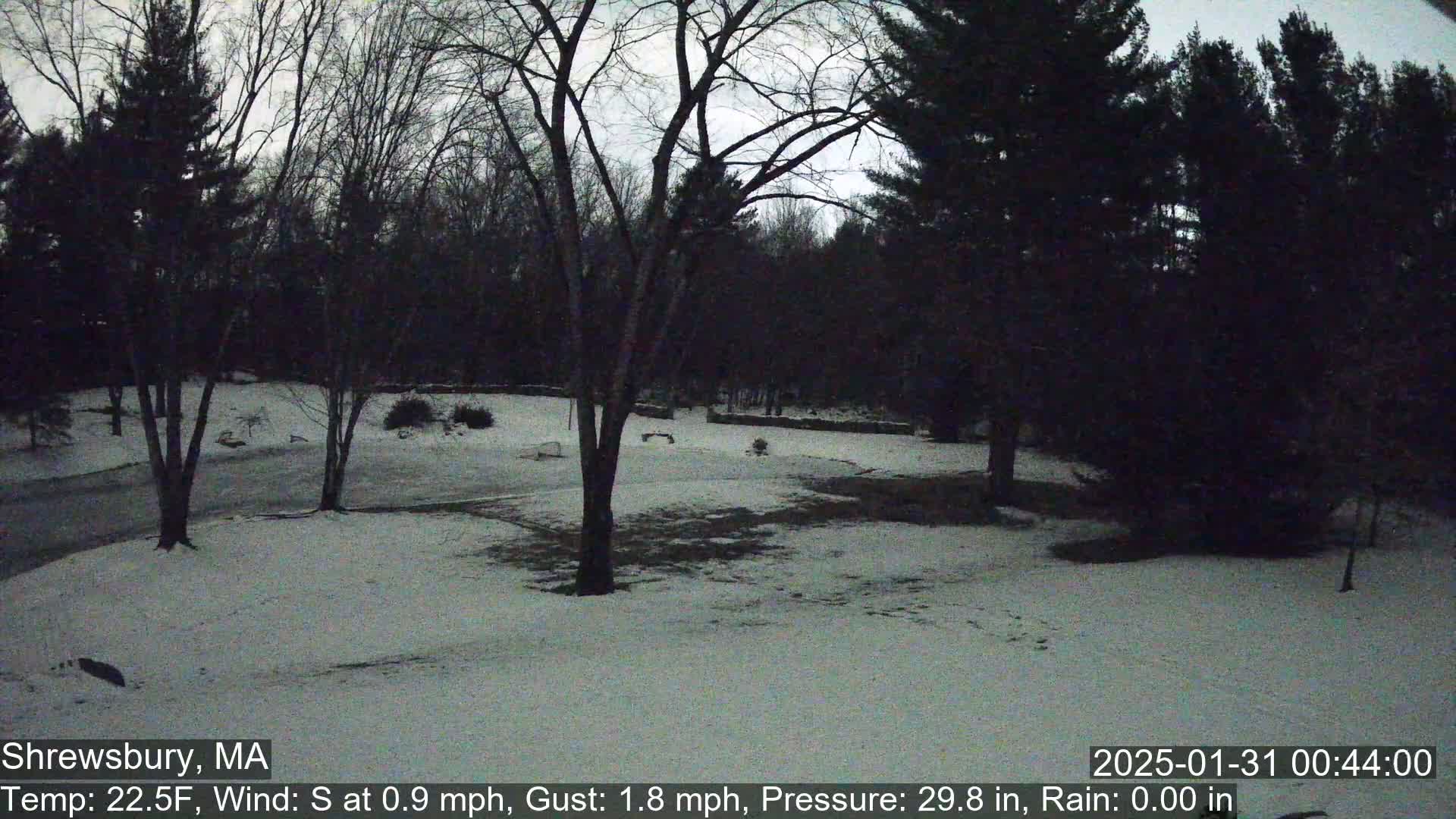 A snow-covered yard is surrounded by bare trees under a dim, overcast sky.