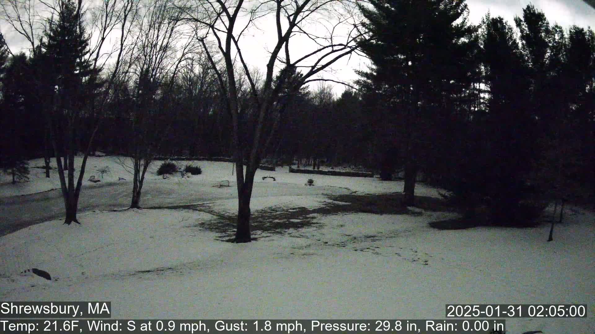 A snow-covered yard surrounded by bare trees under a cloudy, dusky sky.