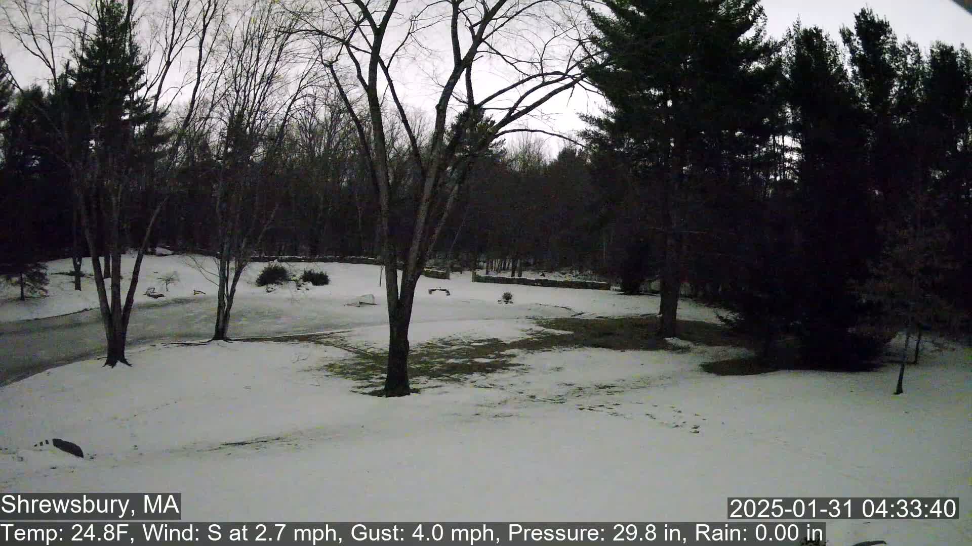A snow-covered yard surrounded by bare deciduous trees and evergreens under a gray, overcast sky.