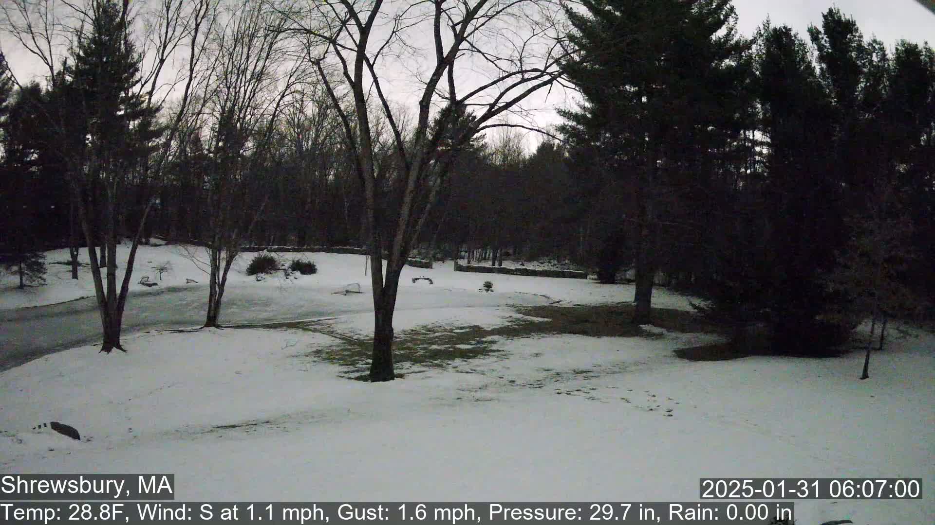 A snow-covered yard with leafless trees and a wooded background under a gray sky.