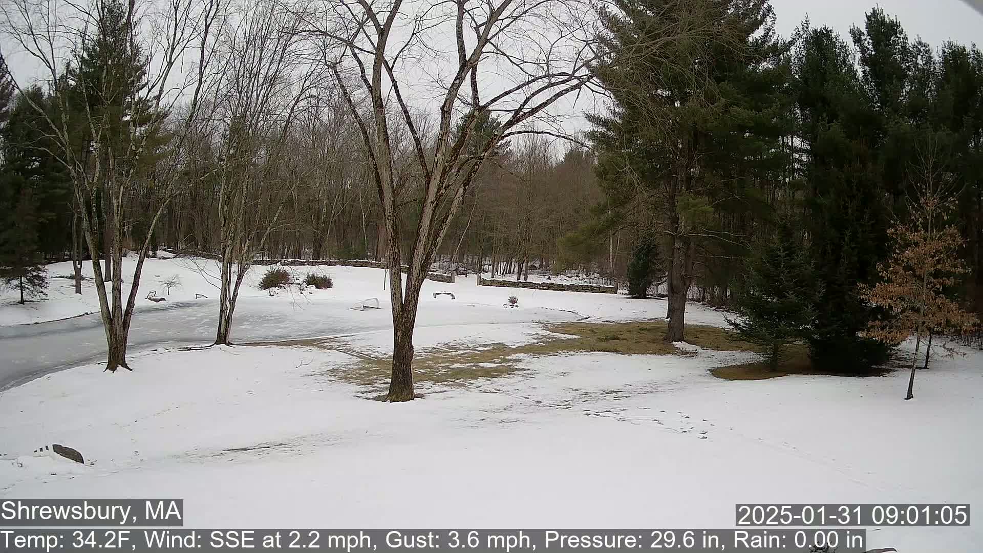 Scenic Pond and Trees Live Cam - Shrewsbury, Massachusetts , USA