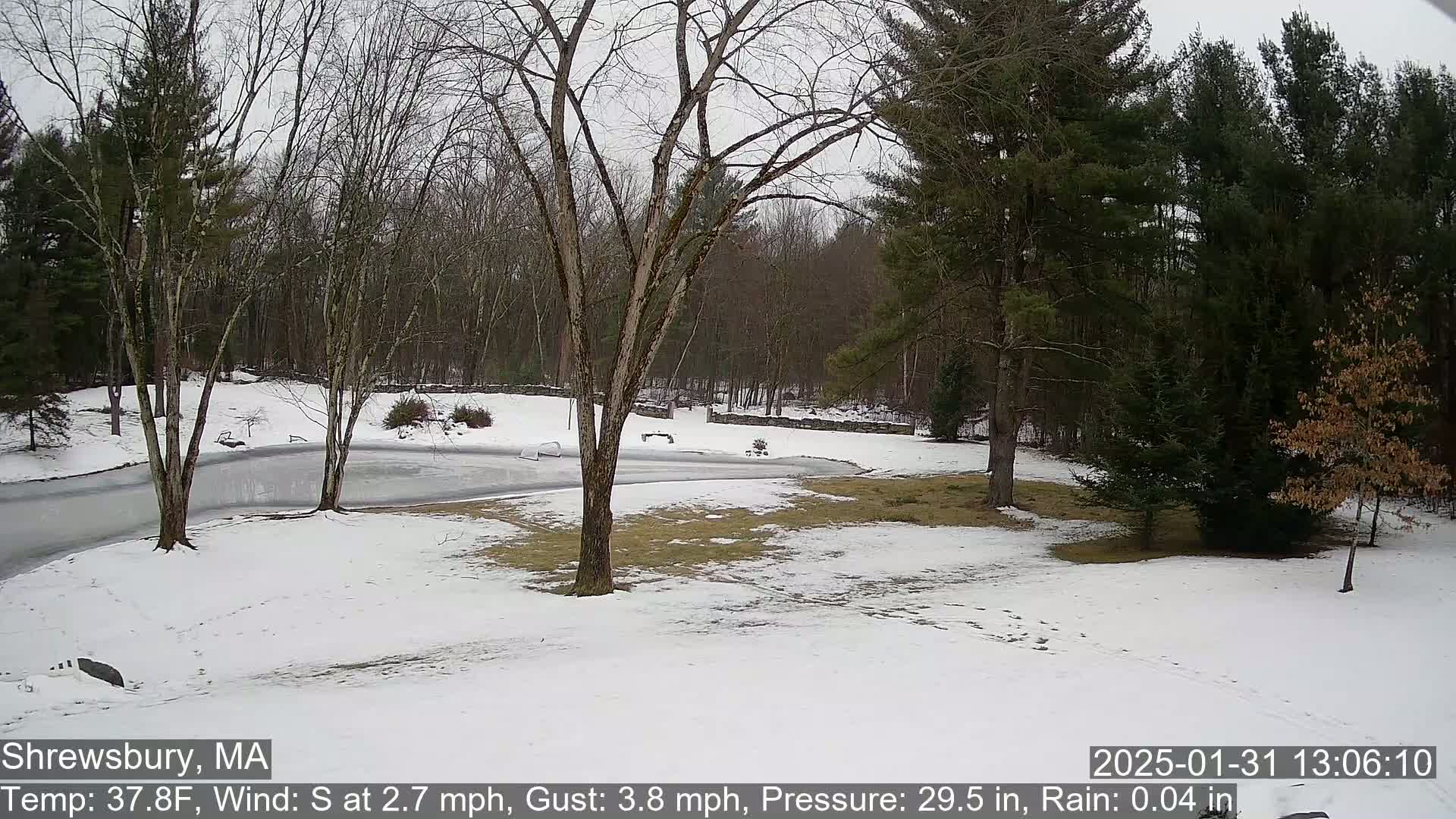 A snow-covered landscape with bare deciduous trees and evergreens surrounds a partially frozen pond under a gray sky.