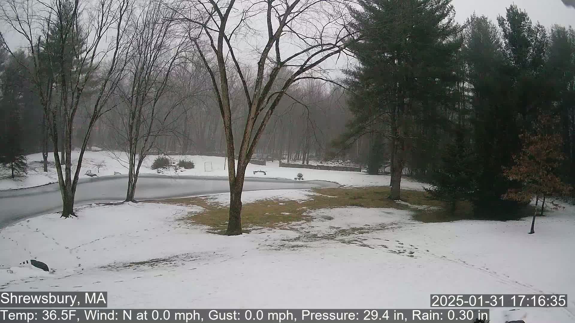 A snow-covered landscape with bare trees and a partially frozen road is visible under an overcast sky.