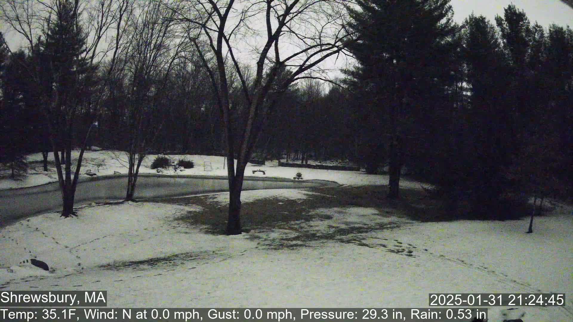 Scenic Pond and Trees Live Cam - Shrewsbury, Massachusetts , USA
