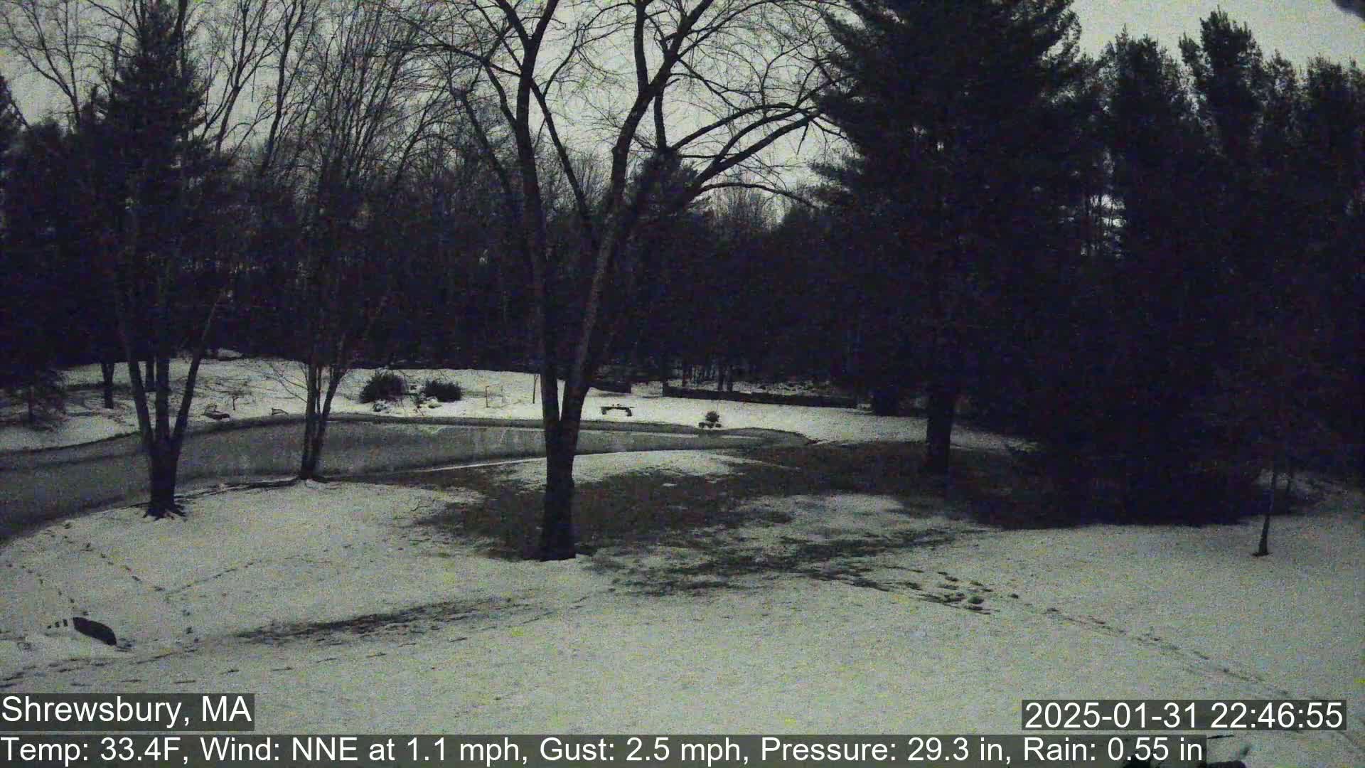 A snow-covered yard with leafless trees in the background under a cloudy, dark sky.