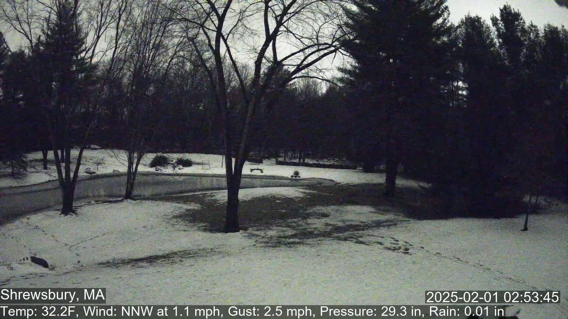 Scenic Pond and Trees Live Cam - Shrewsbury, Massachusetts , USA
