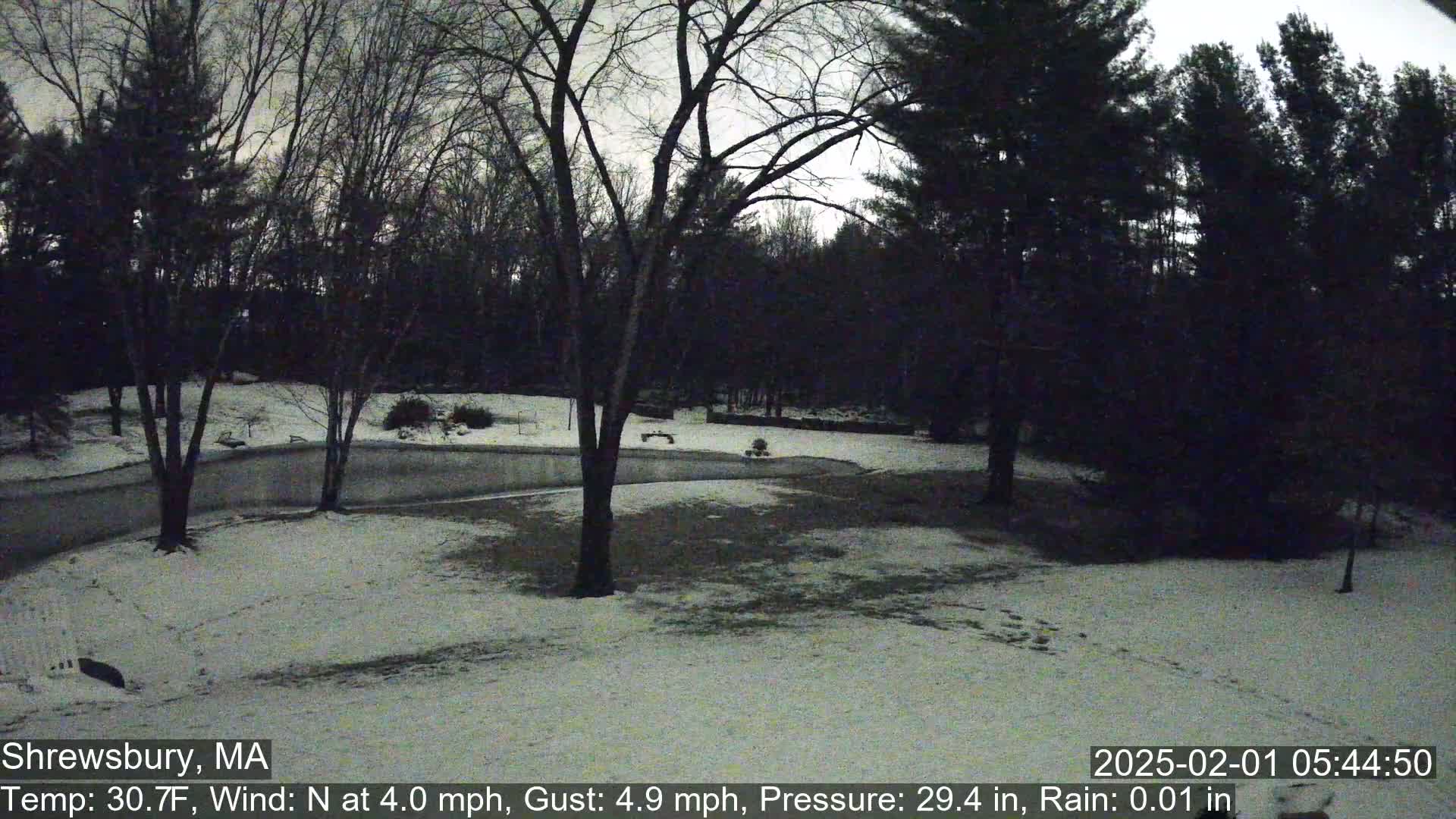 A snow-covered yard with bare trees in the background under a twilight sky.