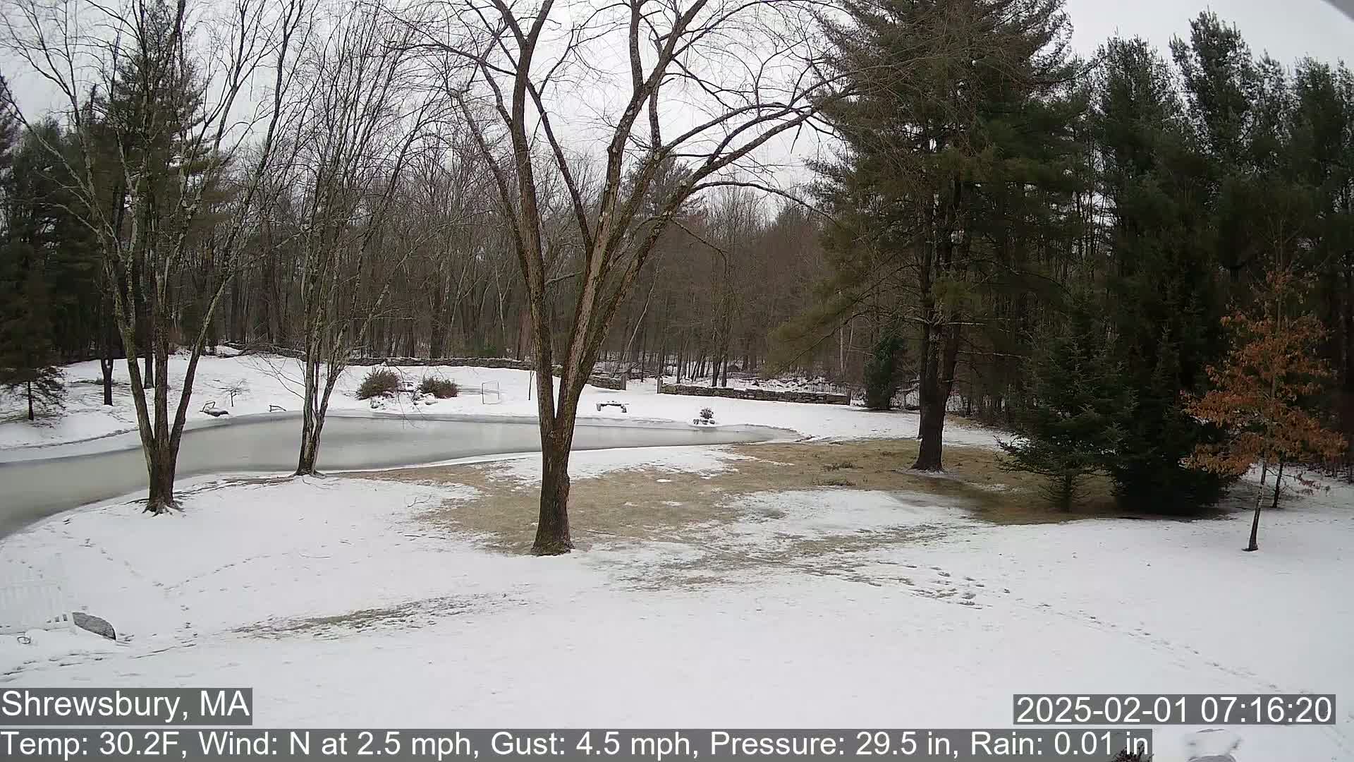 A snow-covered yard with a partially frozen pond is surrounded by leafless trees under an overcast sky.