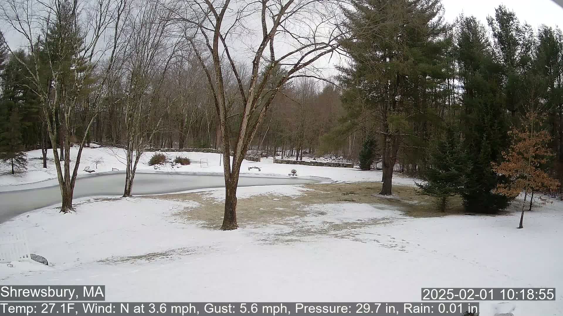 A snow-covered yard with leafless trees surrounds a partially frozen pond, under a gray sky.