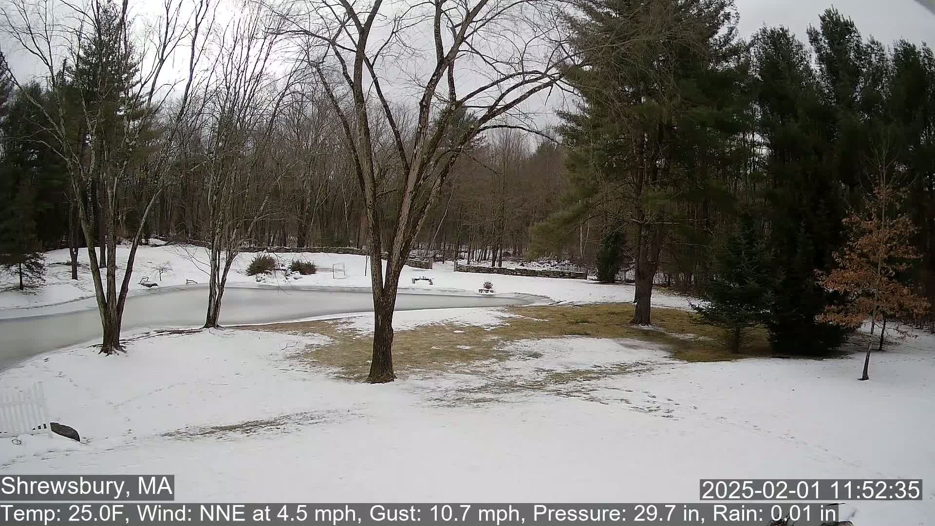 A snow-covered yard with a partially frozen pond is surrounded by leafless trees and evergreens under a cloudy sky.