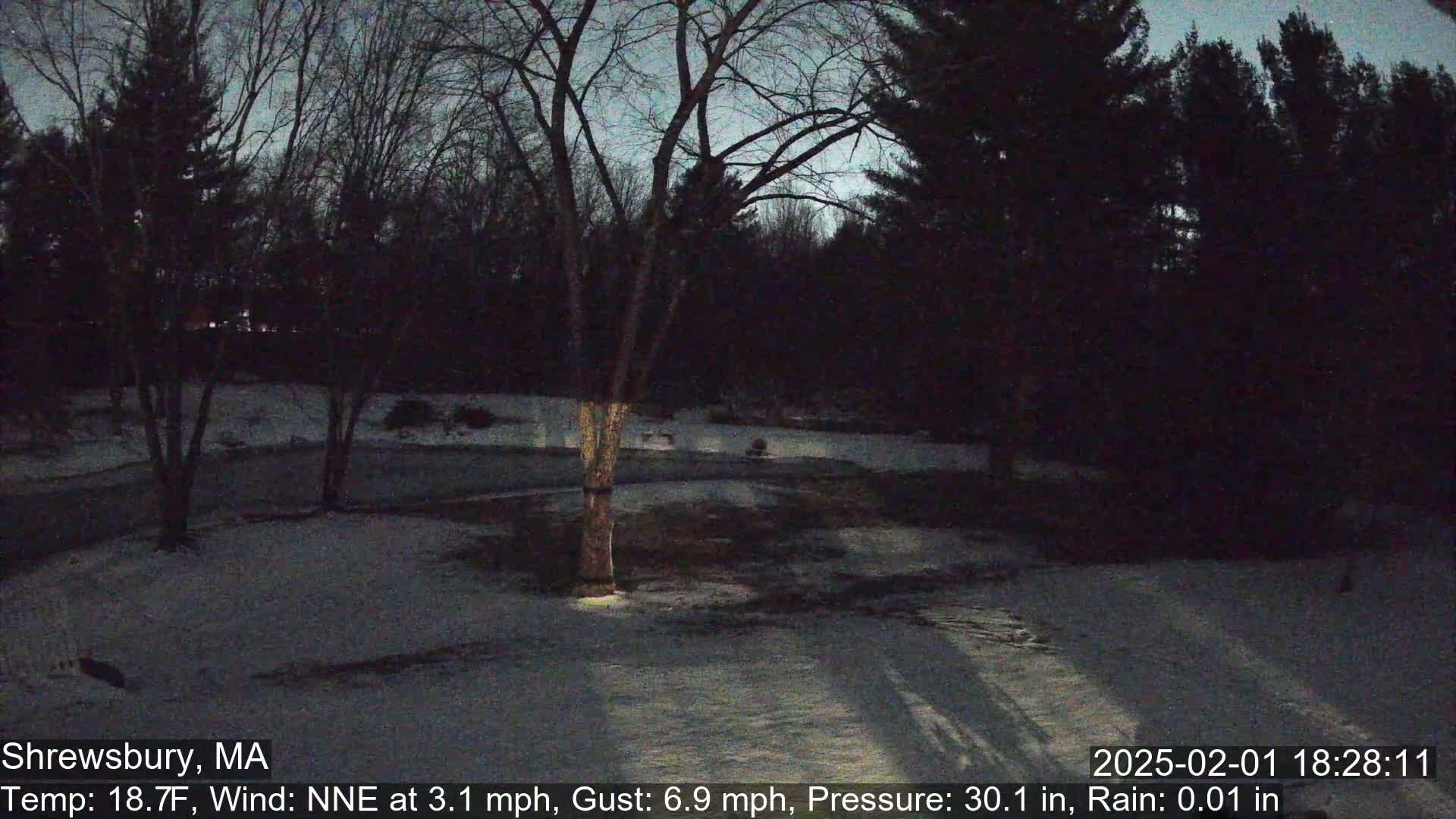 A snow-covered yard at twilight is surrounded by dark trees under a slightly dusky sky, with a light wind and a trace of rain.