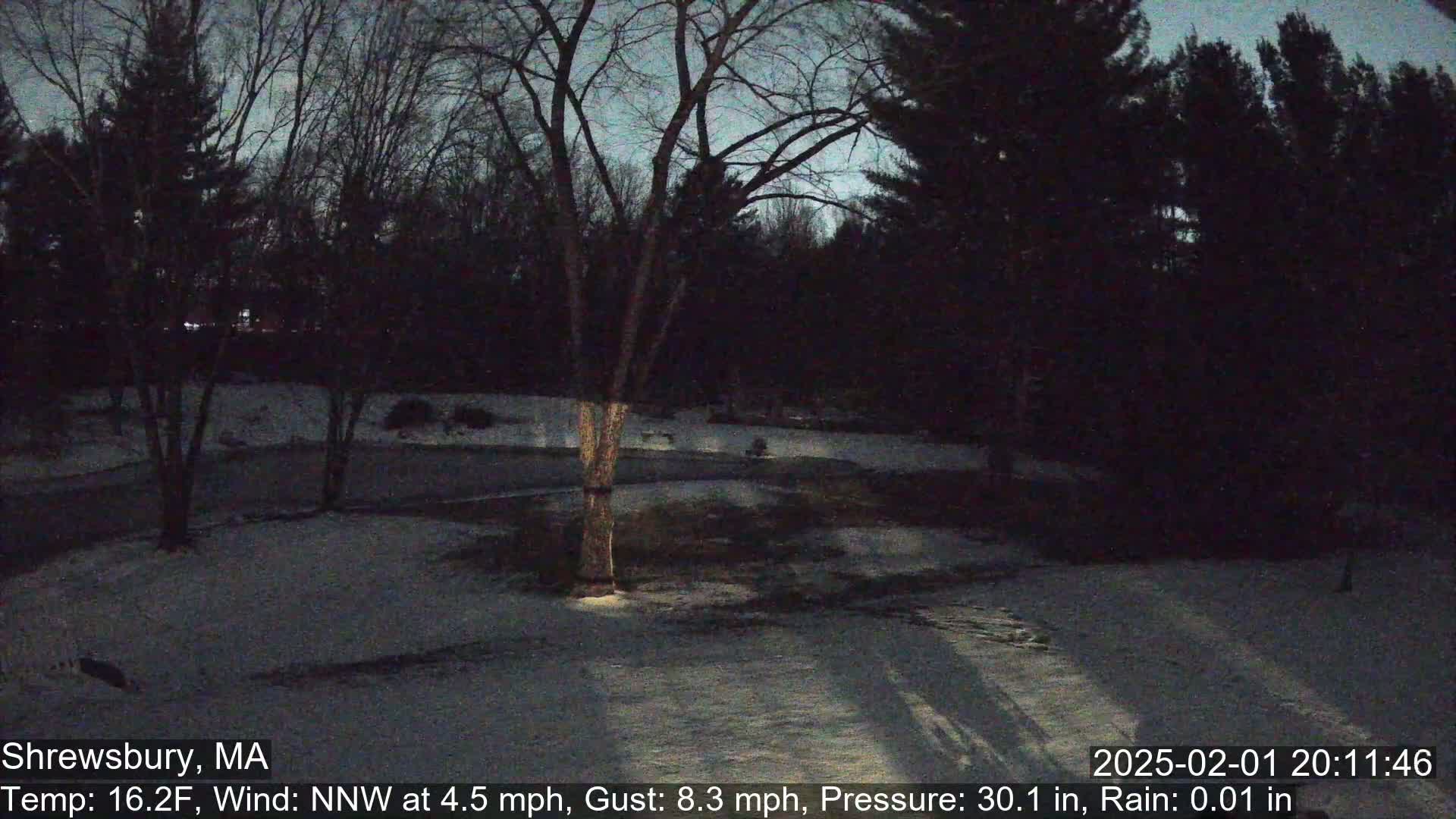 A snow-covered yard is surrounded by dark trees under a twilight sky, with a light wind.