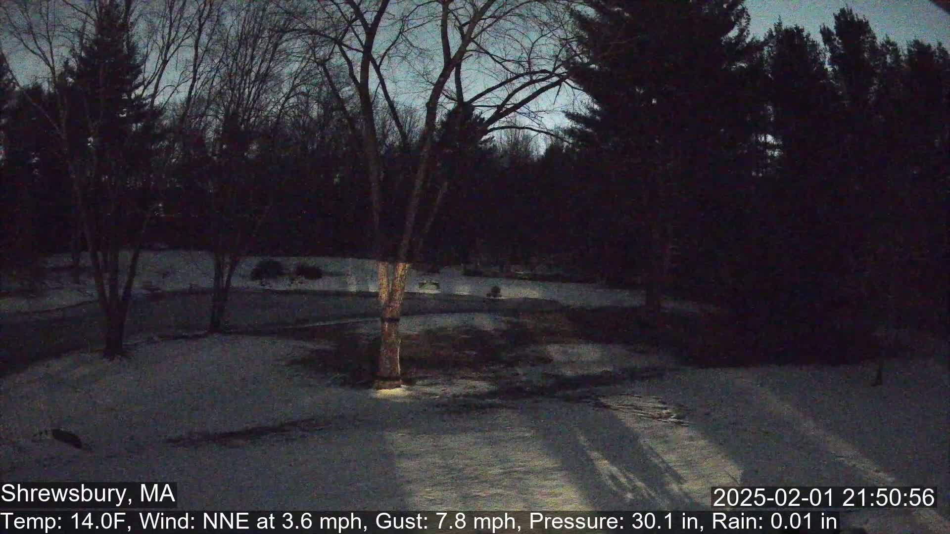 A snow-covered yard at night, under a mostly clear, dark sky, is surrounded by bare trees and shrubs.