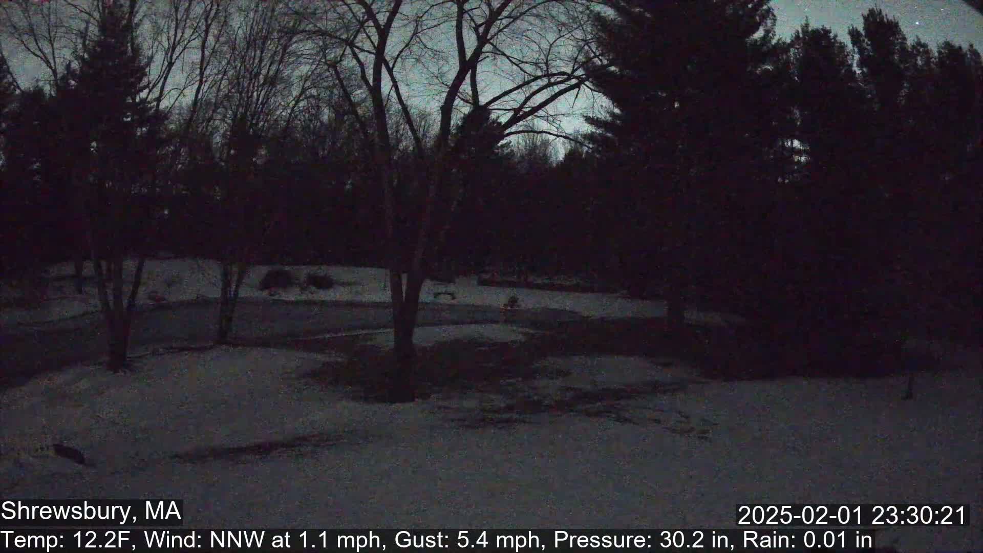 A snow-covered yard is surrounded by dark trees under a twilight sky with light rain.