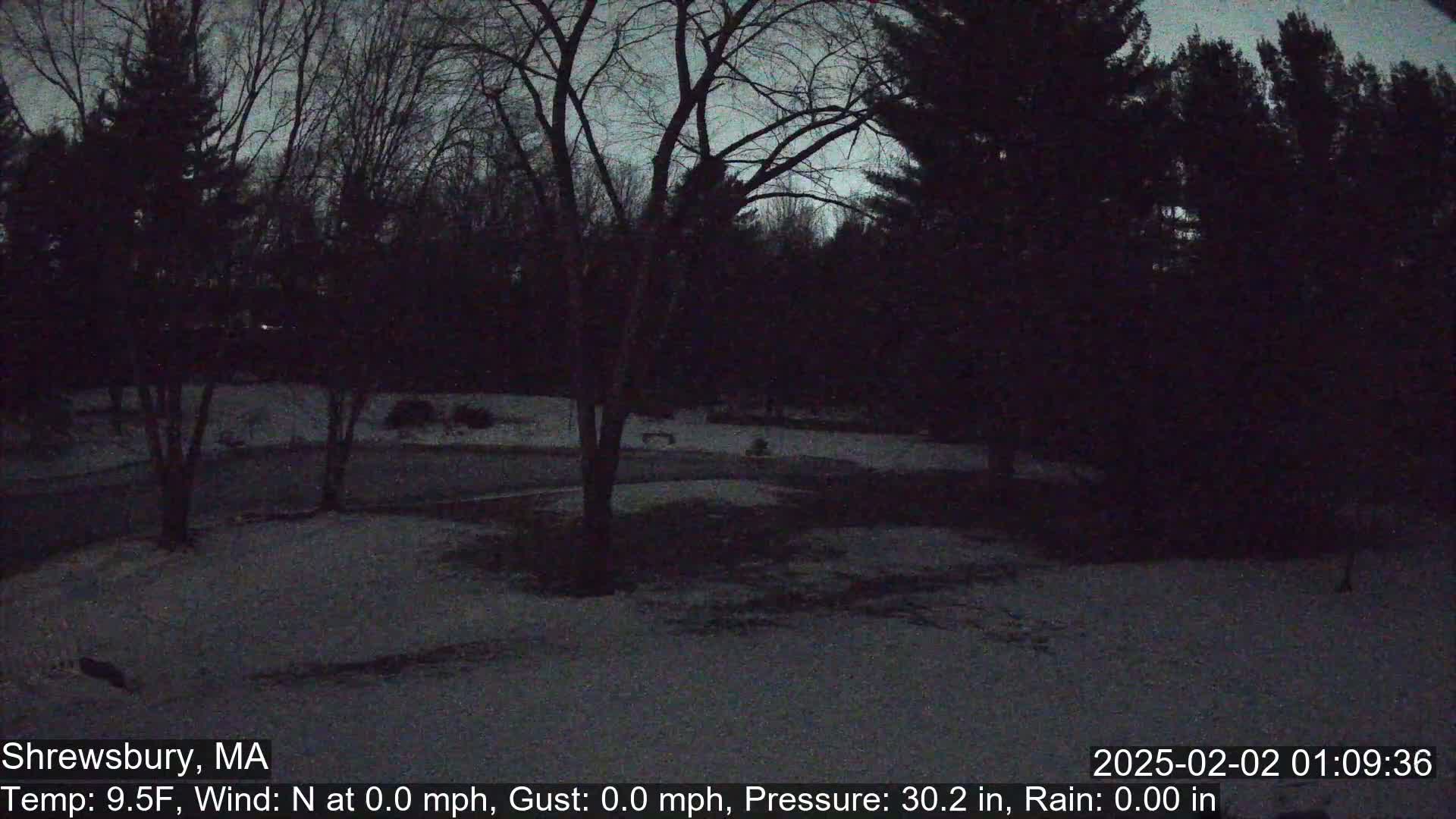 A snow-covered yard is visible at night under a dark sky, surrounded by dark trees.