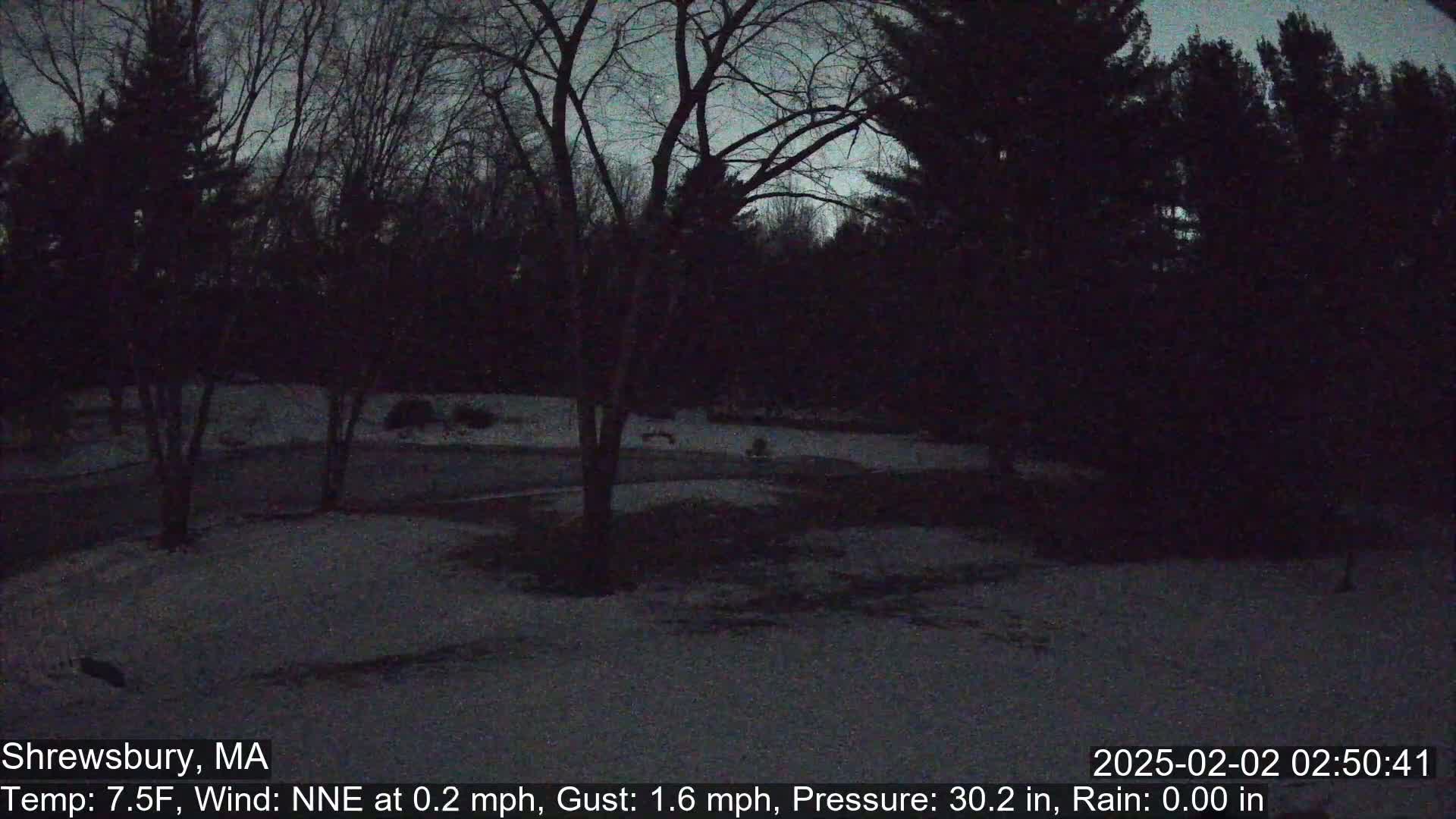 Scenic Pond and Trees Live Cam - Shrewsbury, Massachusetts , USA