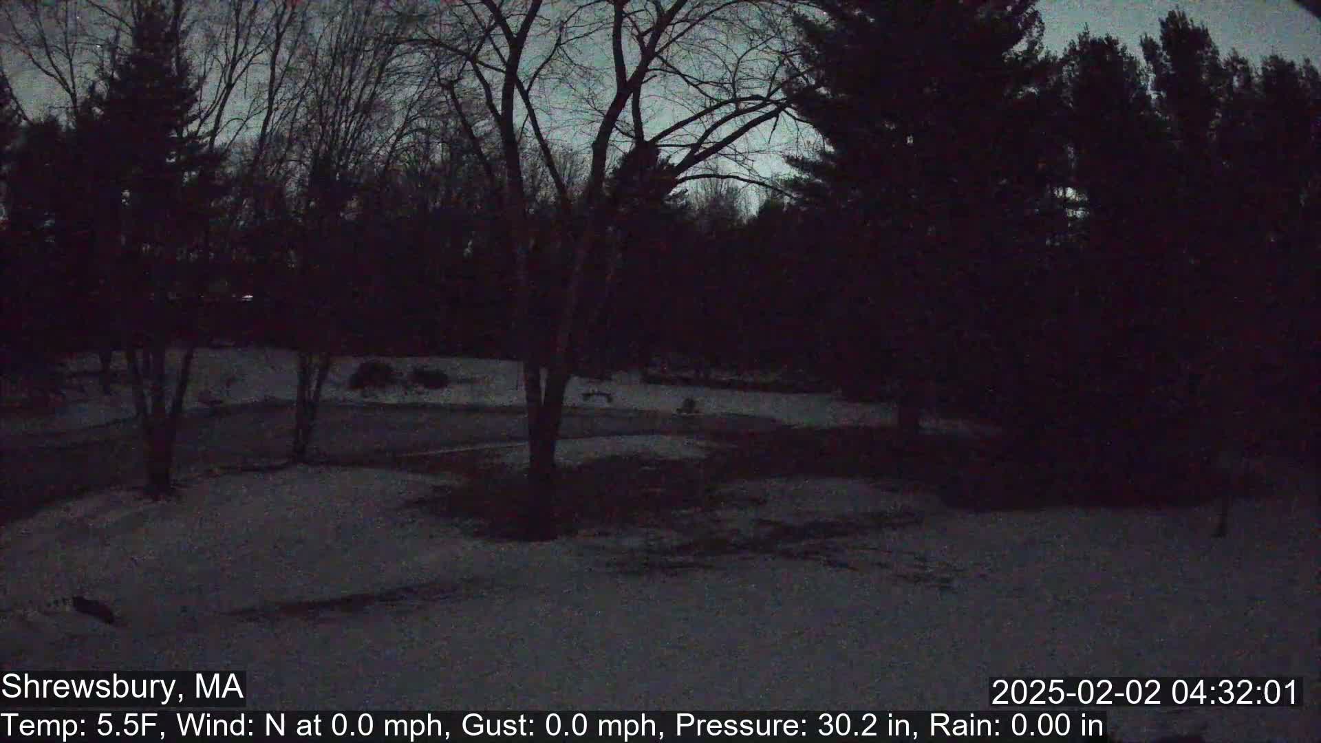 A snow-covered yard is surrounded by dark trees under a twilight sky.