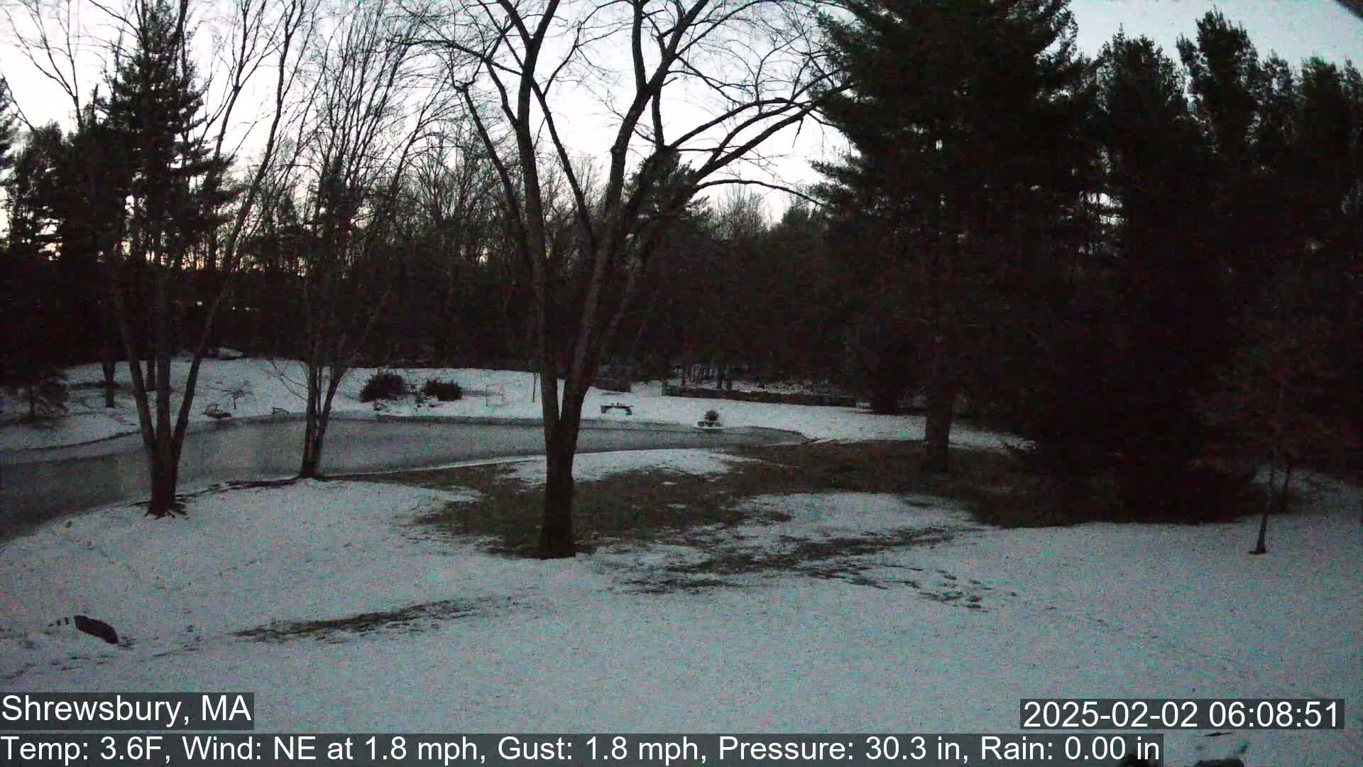 A snow-covered yard with bare trees and a dark forest in the background under a twilight sky.