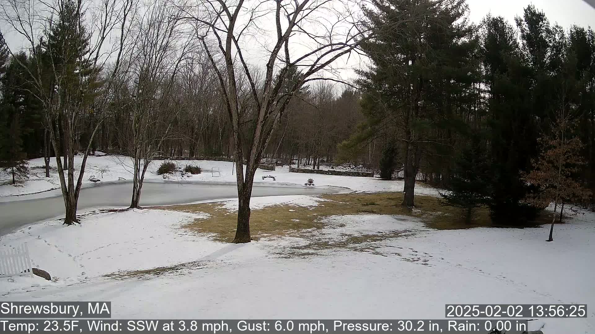 A snow-covered yard with a partially frozen pond is surrounded by leafless trees under a cloudy sky.