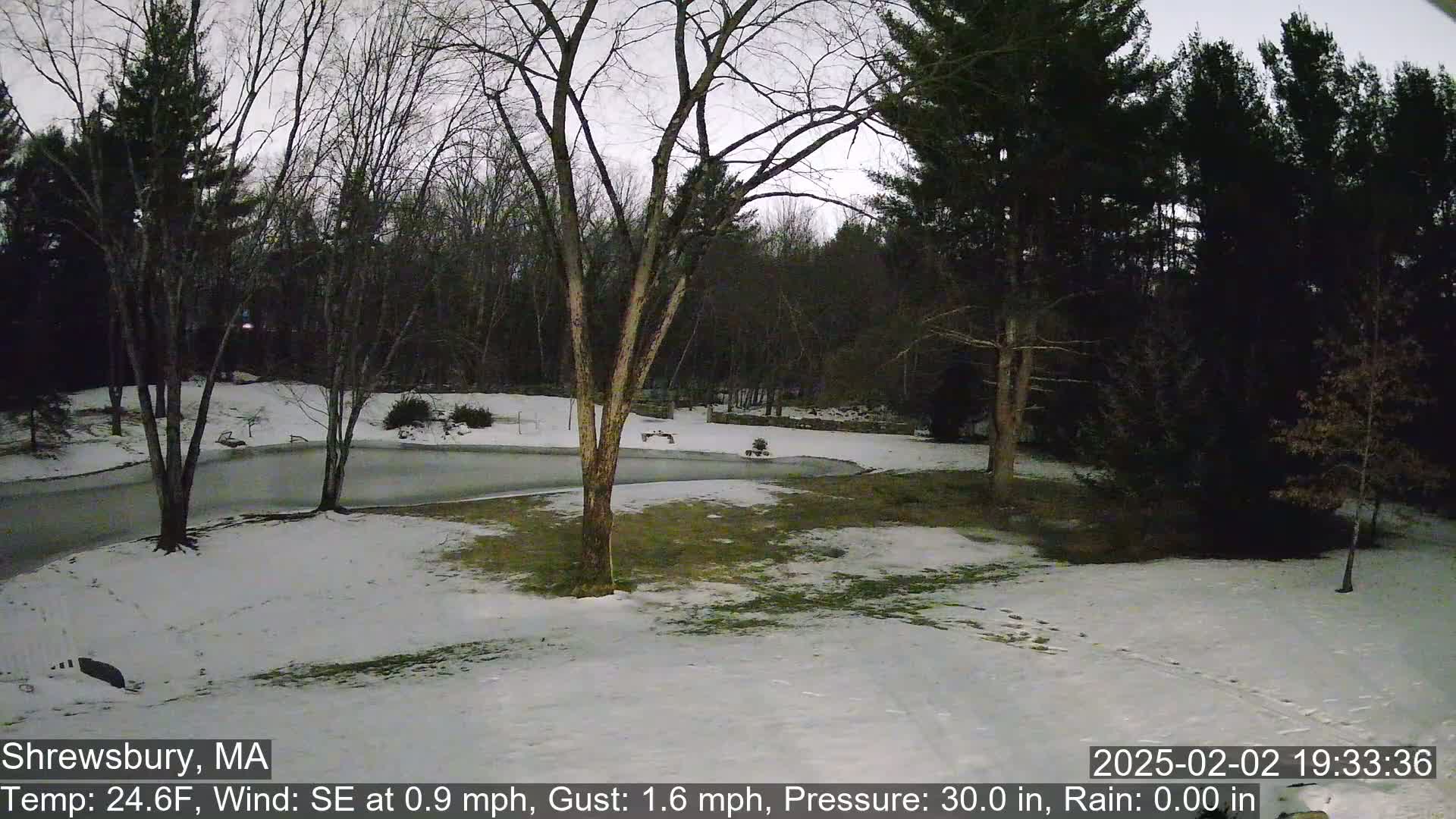 A snow-covered yard with leafless trees under a gray sky.